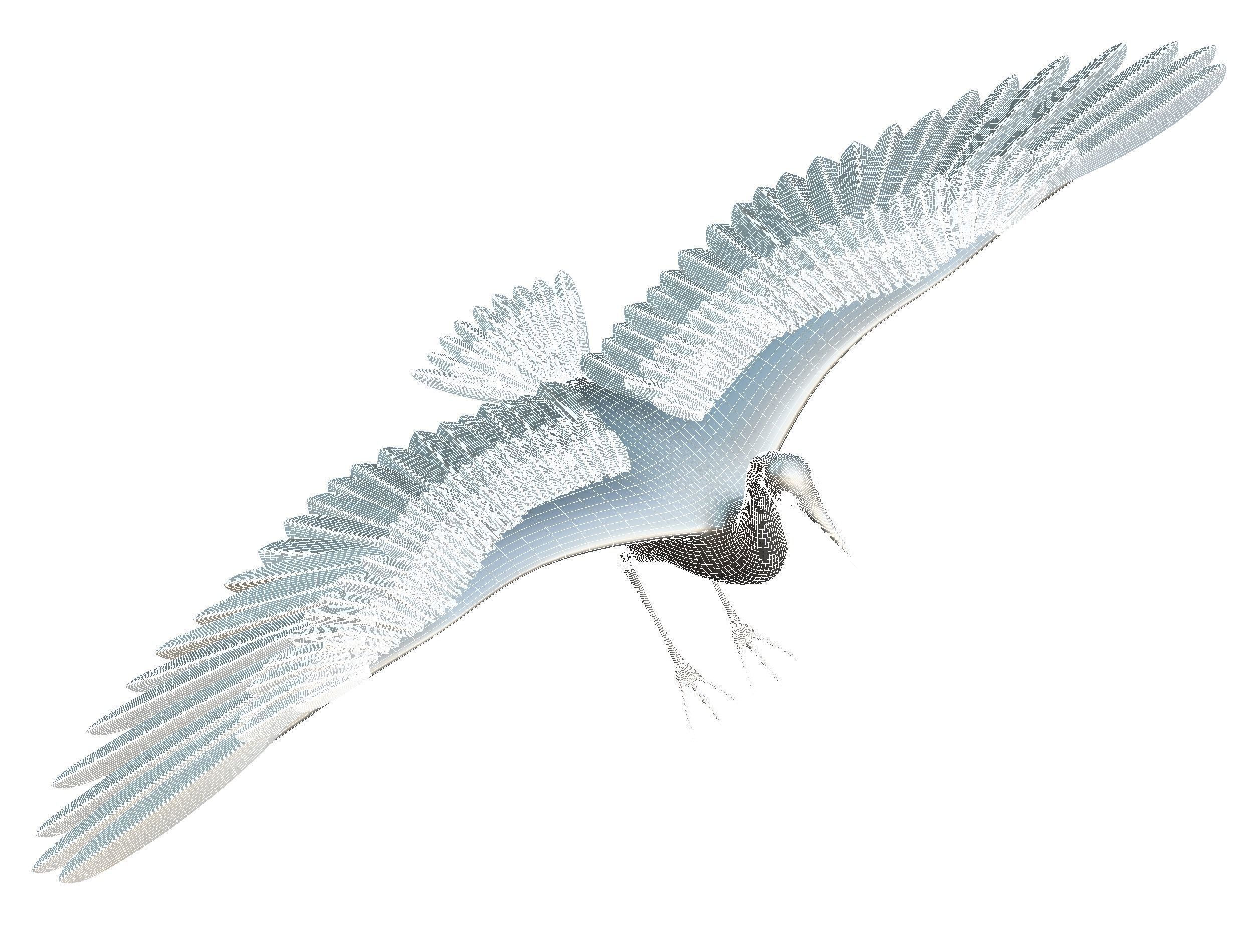 High Poly White Crane Bird Low-poly 3D model_25