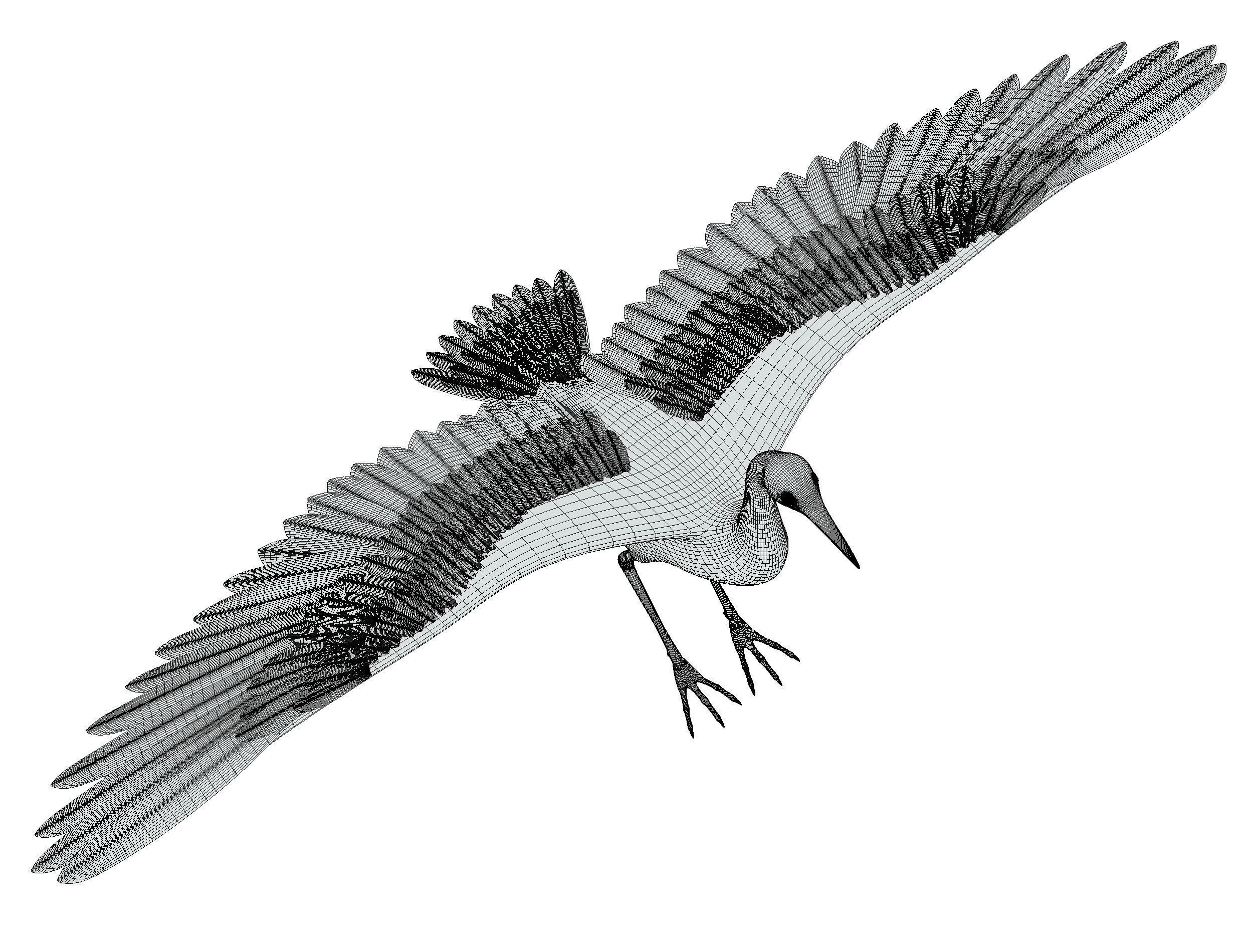 High Poly White Crane Bird Low-poly 3D model_27