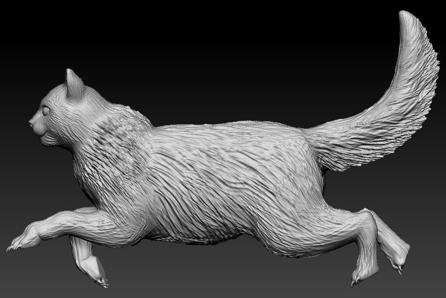rag doll Cat 3D print model_3
