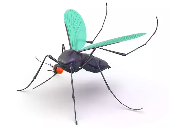 High Poly Big Realistic Mosquito Low-poly 3D model