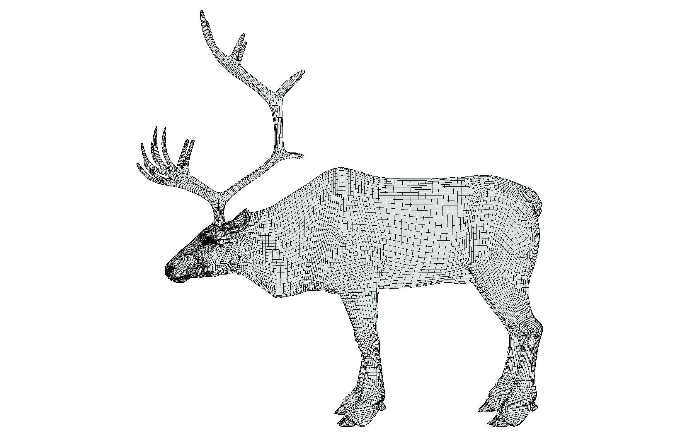 High Poly Realistic Reindeer 3D model_21