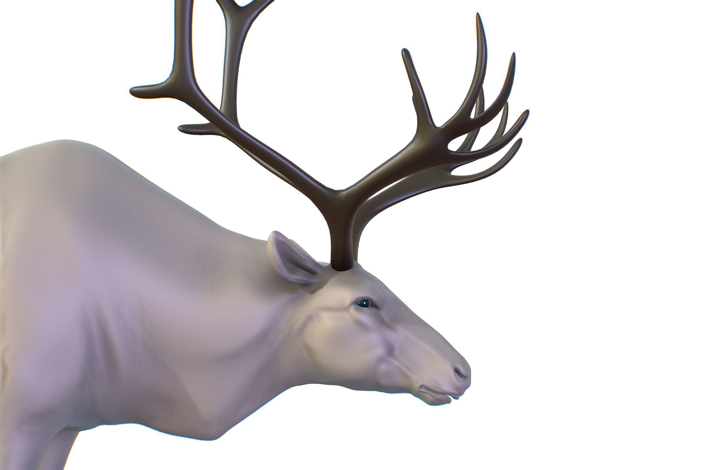 High Poly Realistic Reindeer 3D model_12