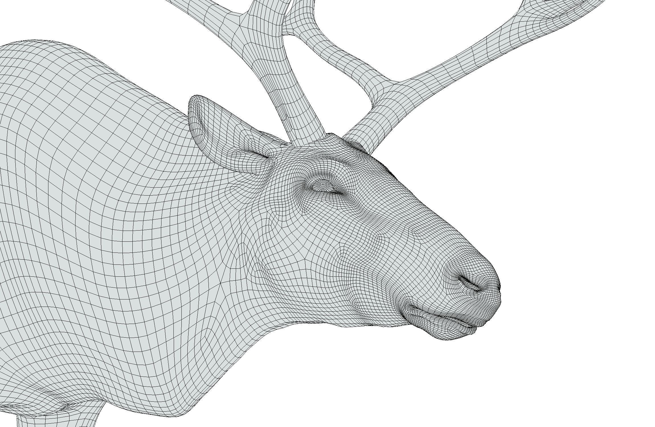 High Poly Realistic Reindeer 3D model_24