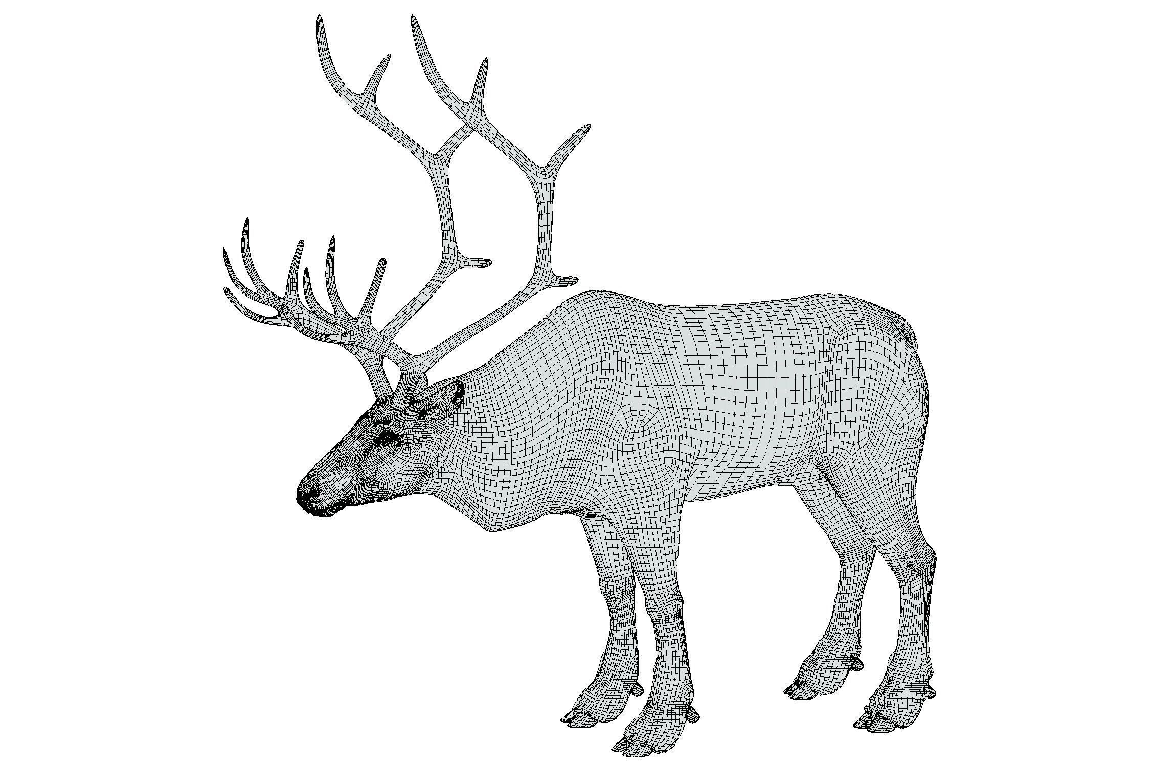 High Poly Realistic Reindeer 3D model_20