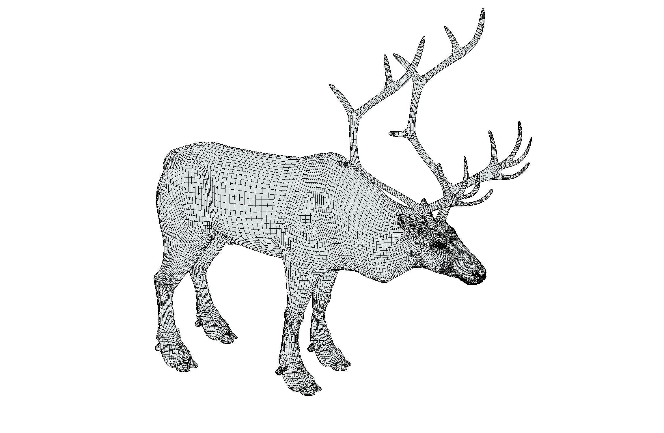 High Poly Realistic Reindeer 3D model_17