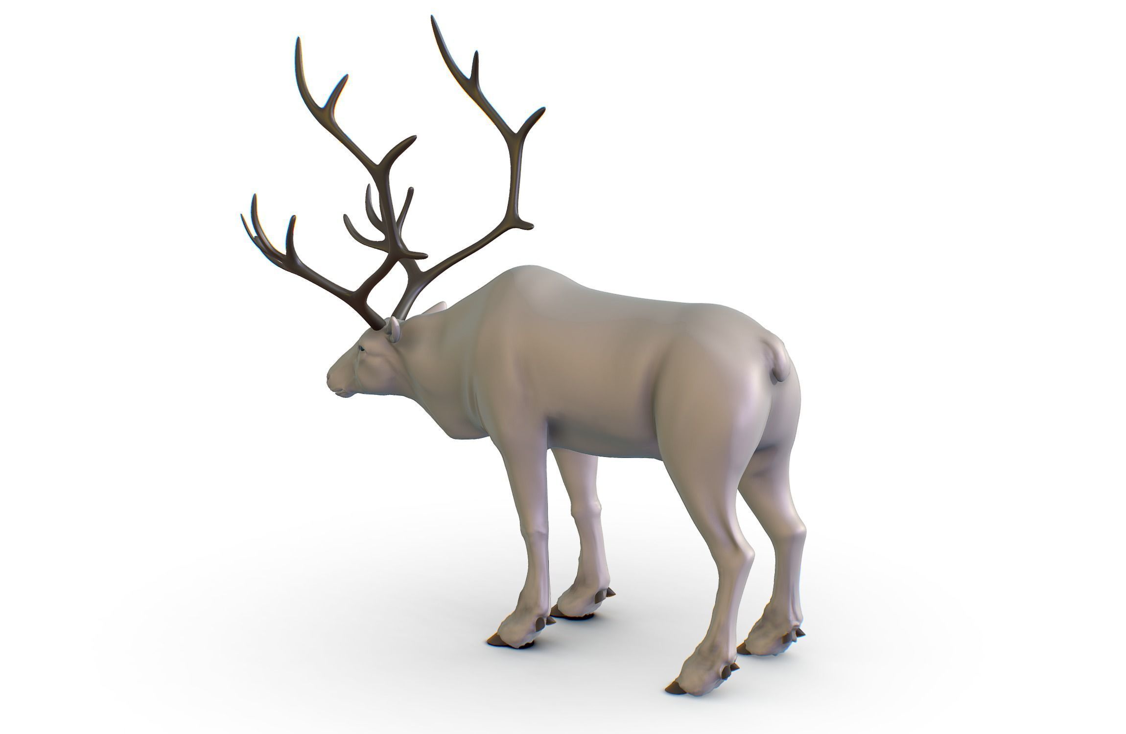 High Poly Realistic Reindeer 3D model_11