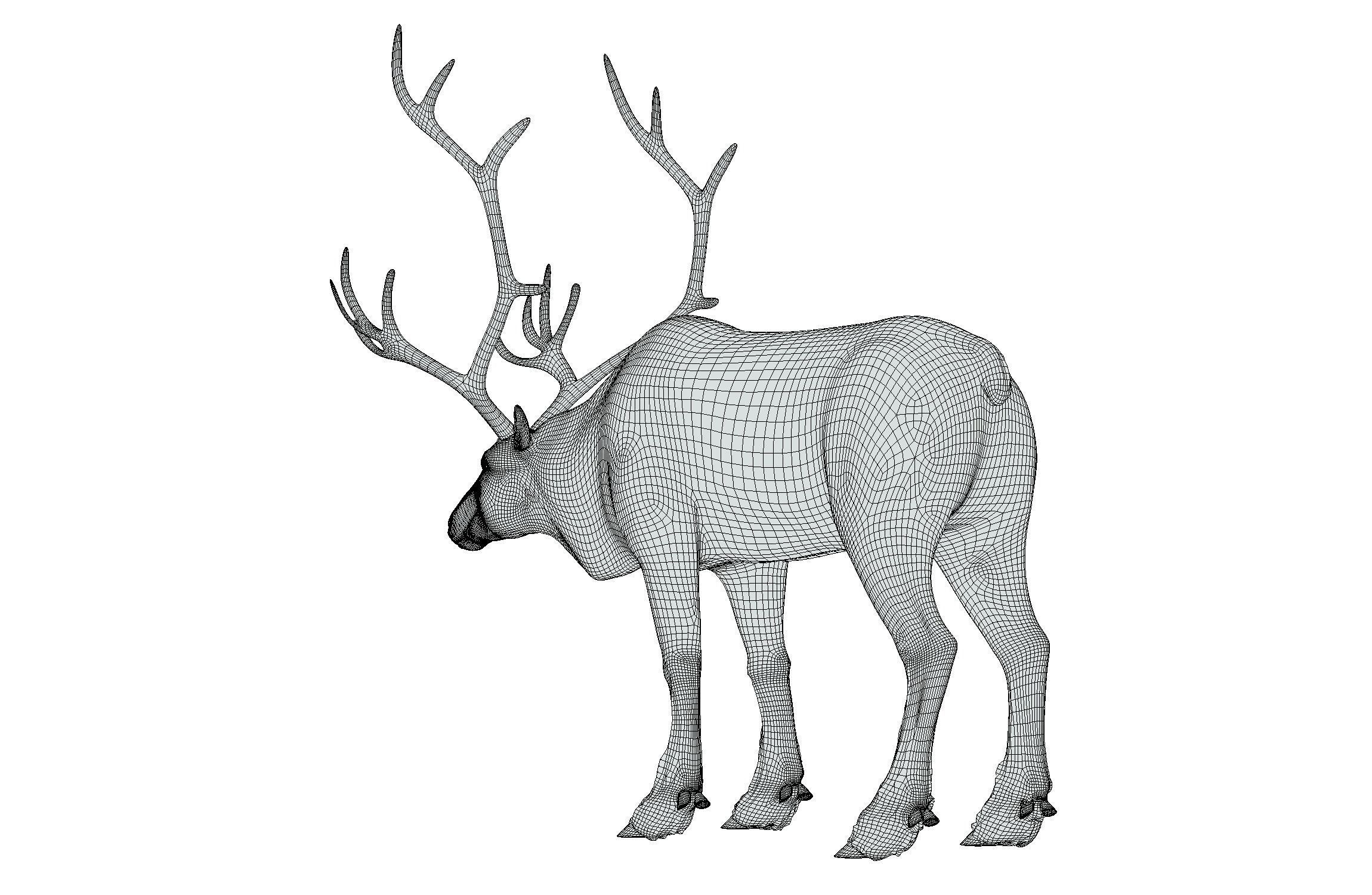 High Poly Realistic Reindeer 3D model_22
