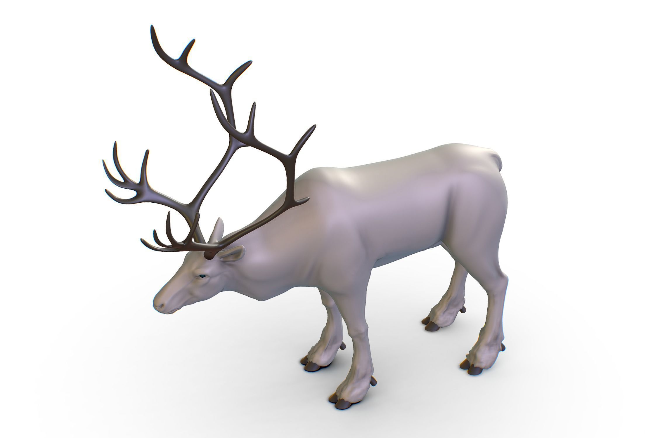 High Poly Realistic Reindeer 3D model_6
