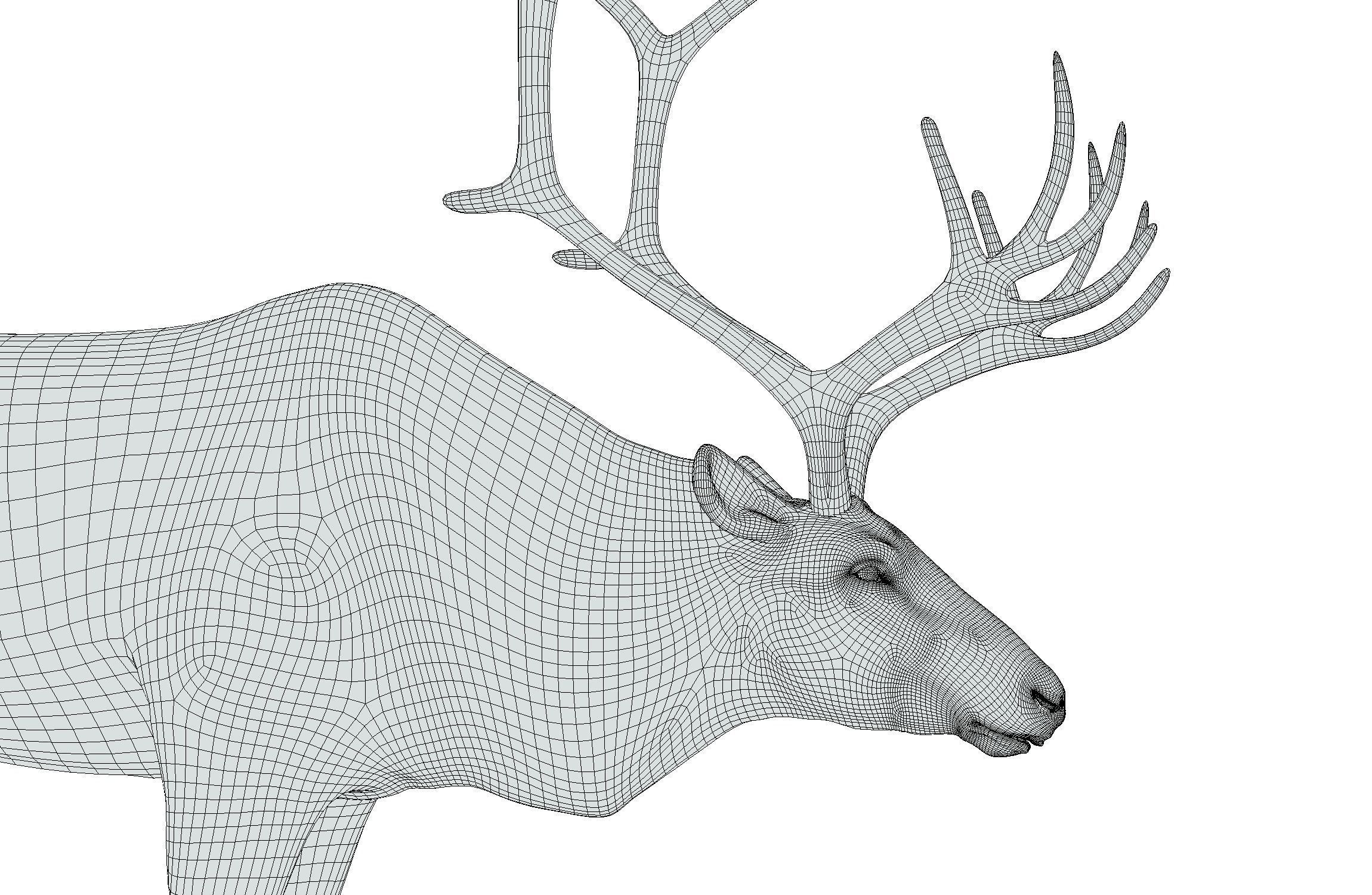 High Poly Realistic Reindeer 3D model_23