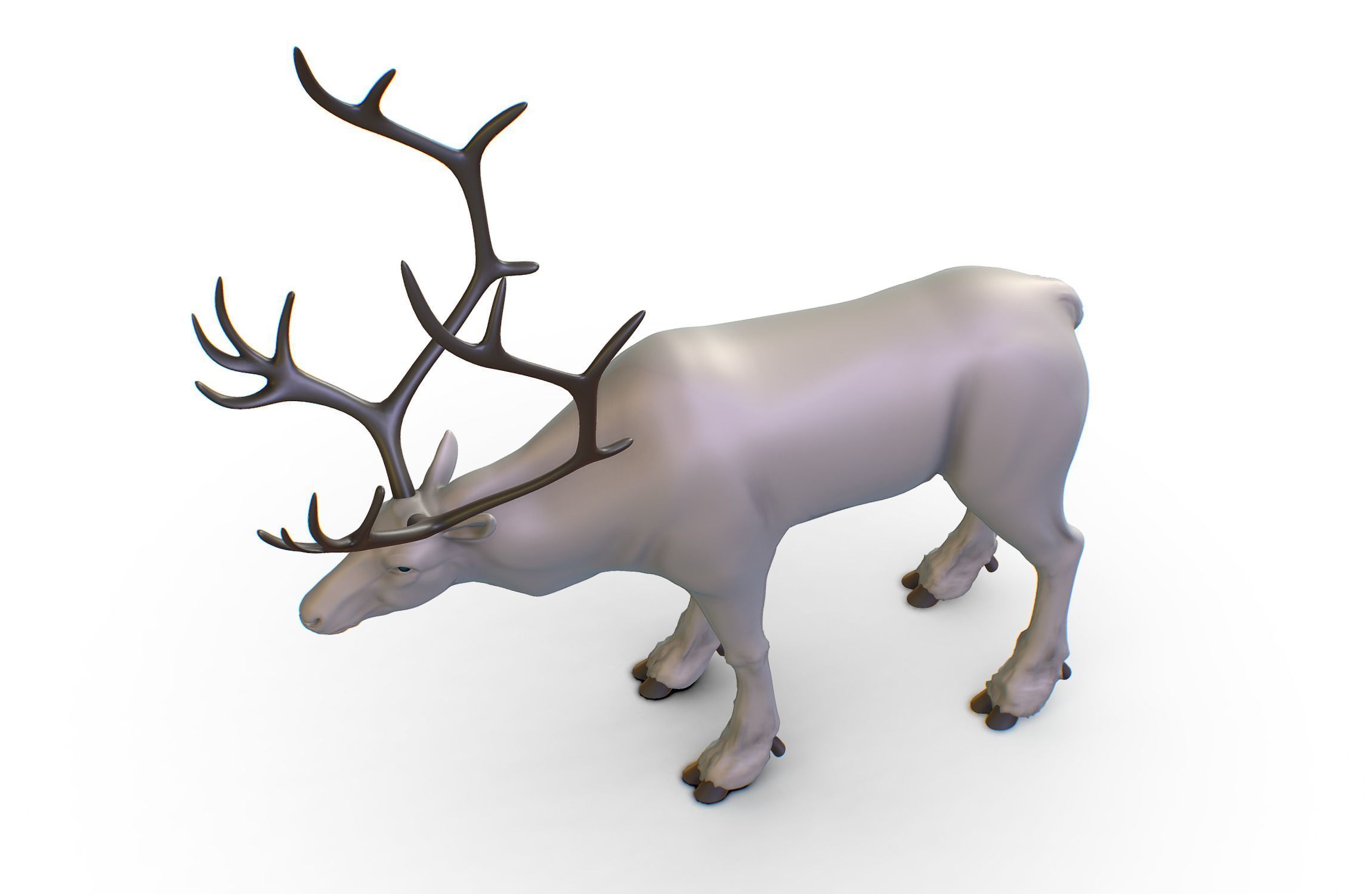 High Poly Realistic Reindeer 3D model_7