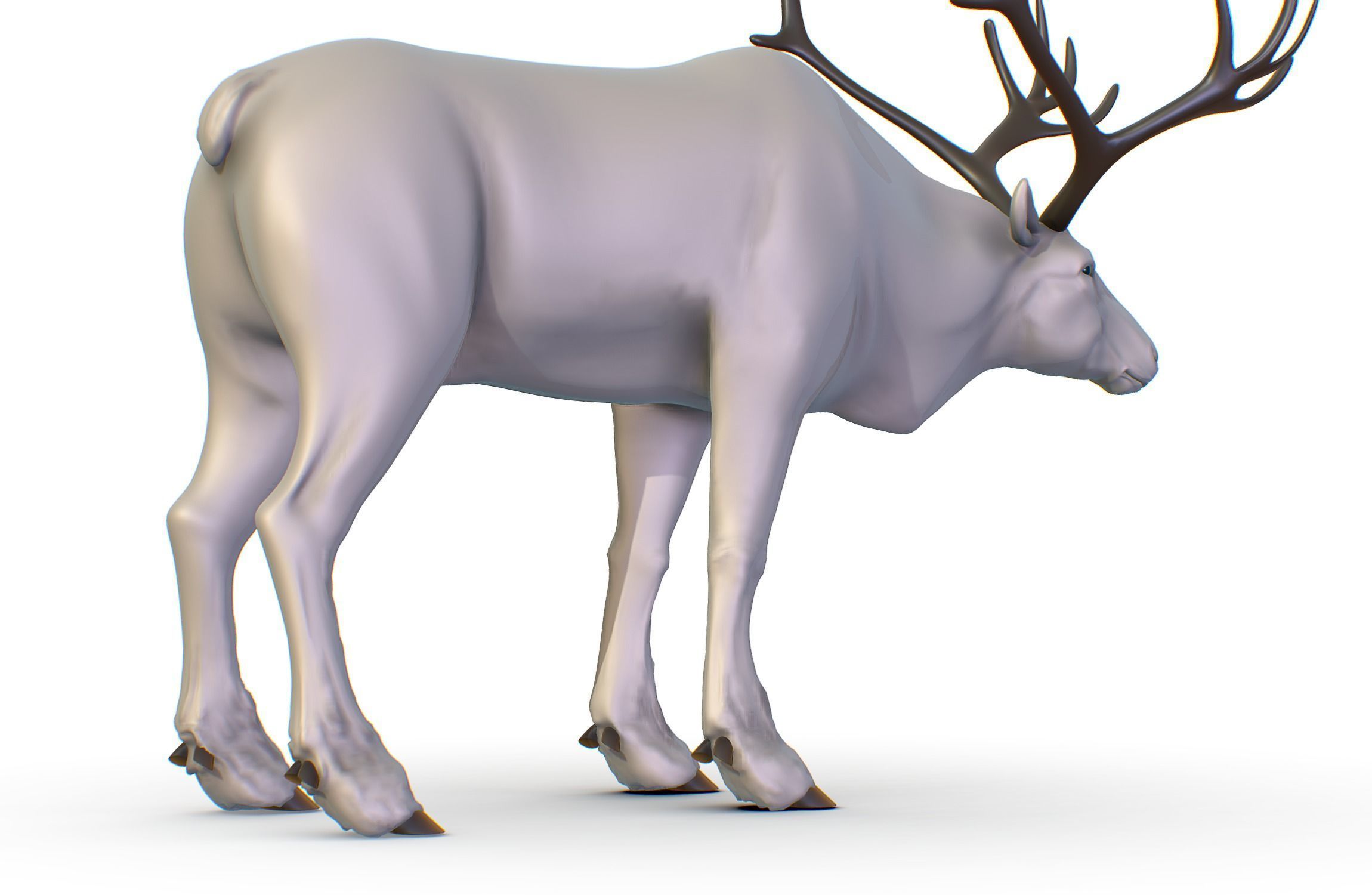 High Poly Realistic Reindeer 3D model_16