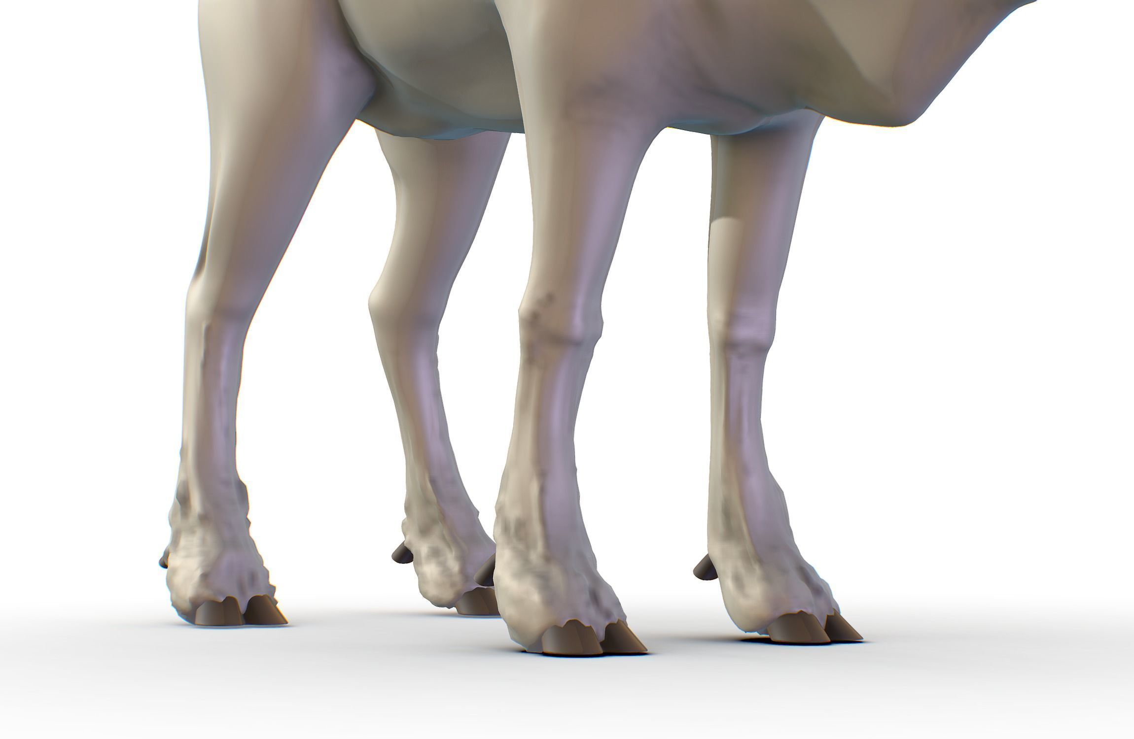 High Poly Realistic Reindeer 3D model_15