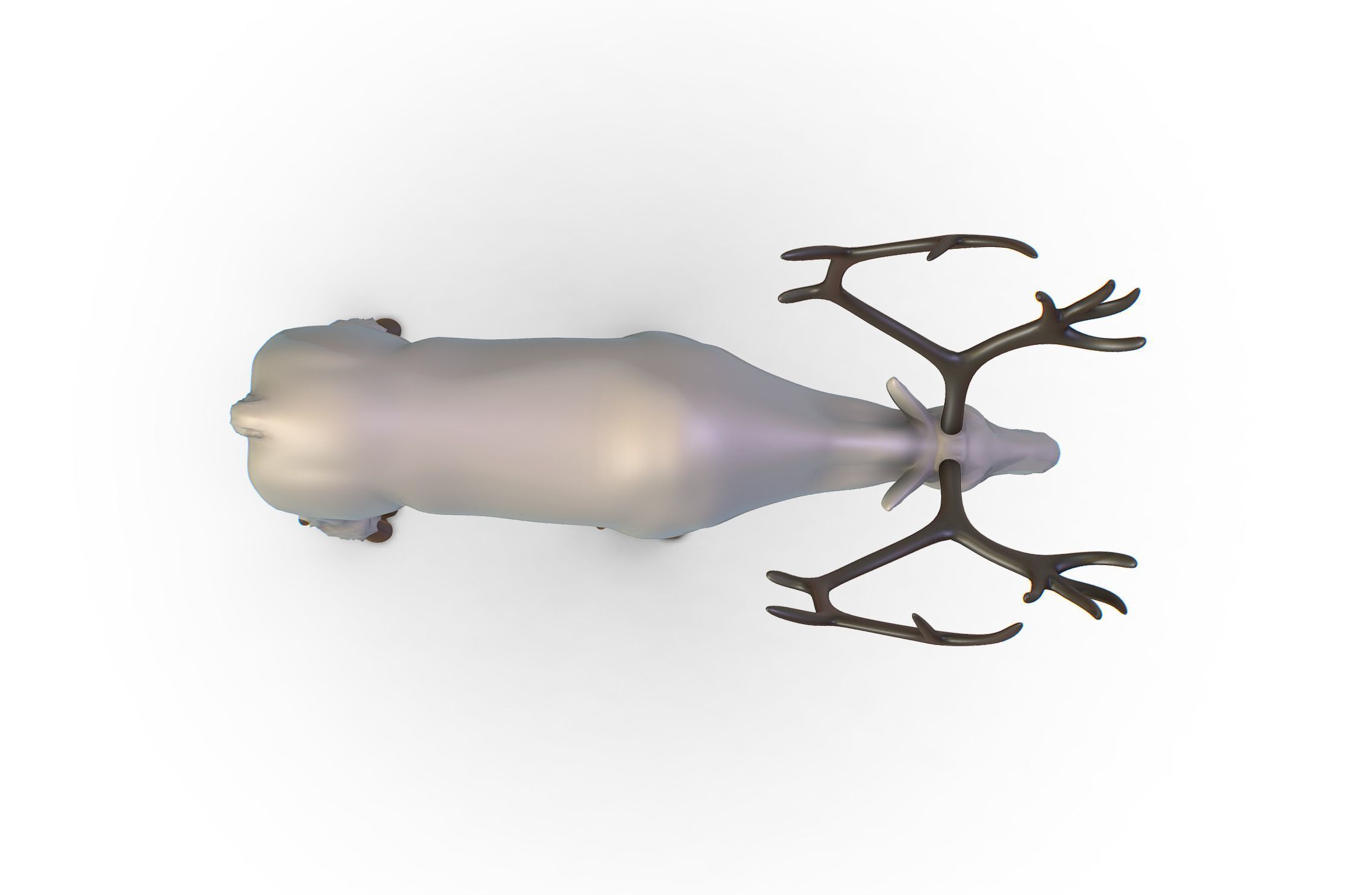 High Poly Realistic Reindeer 3D model_10