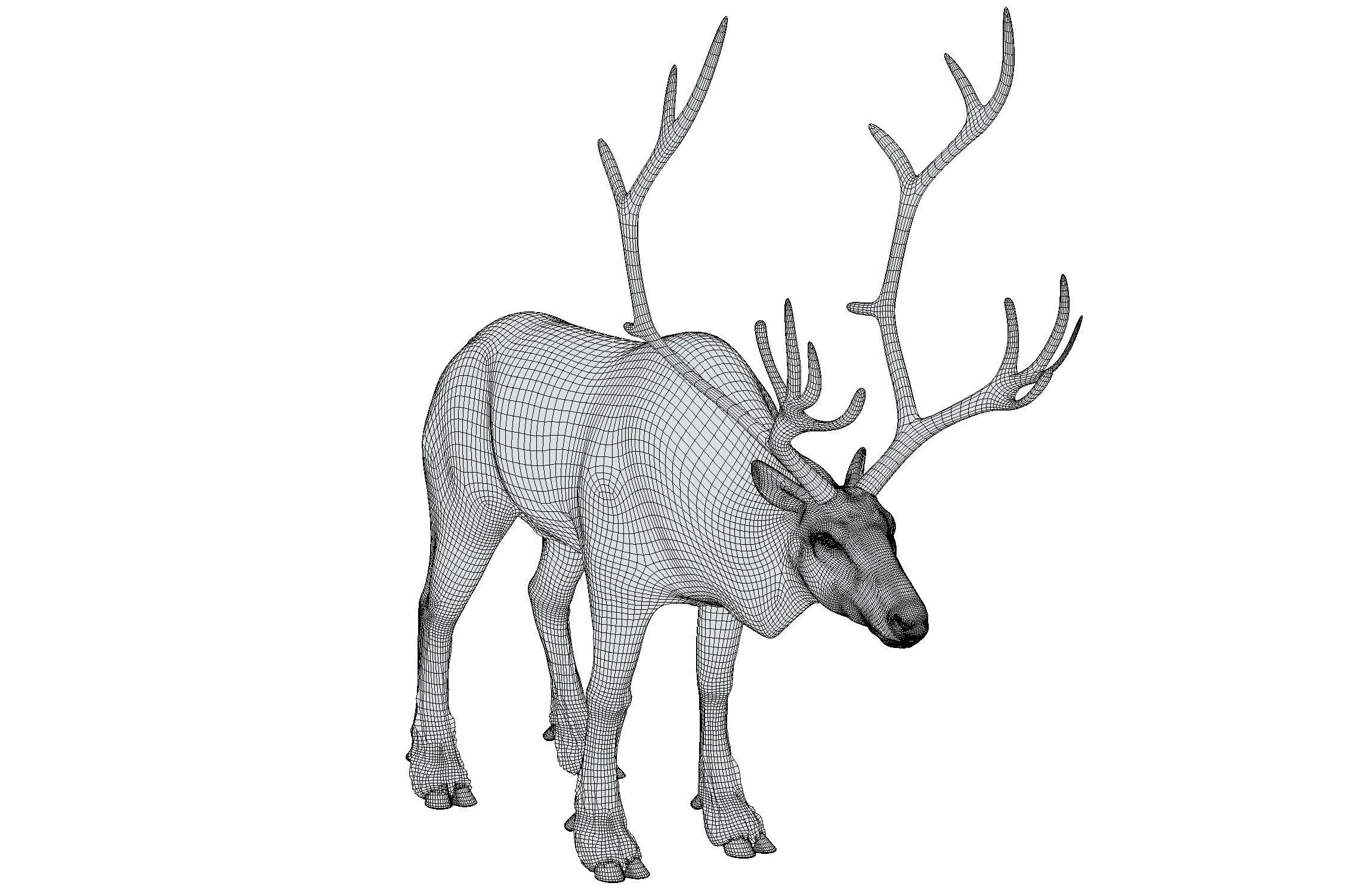 High Poly Realistic Reindeer 3D model_19