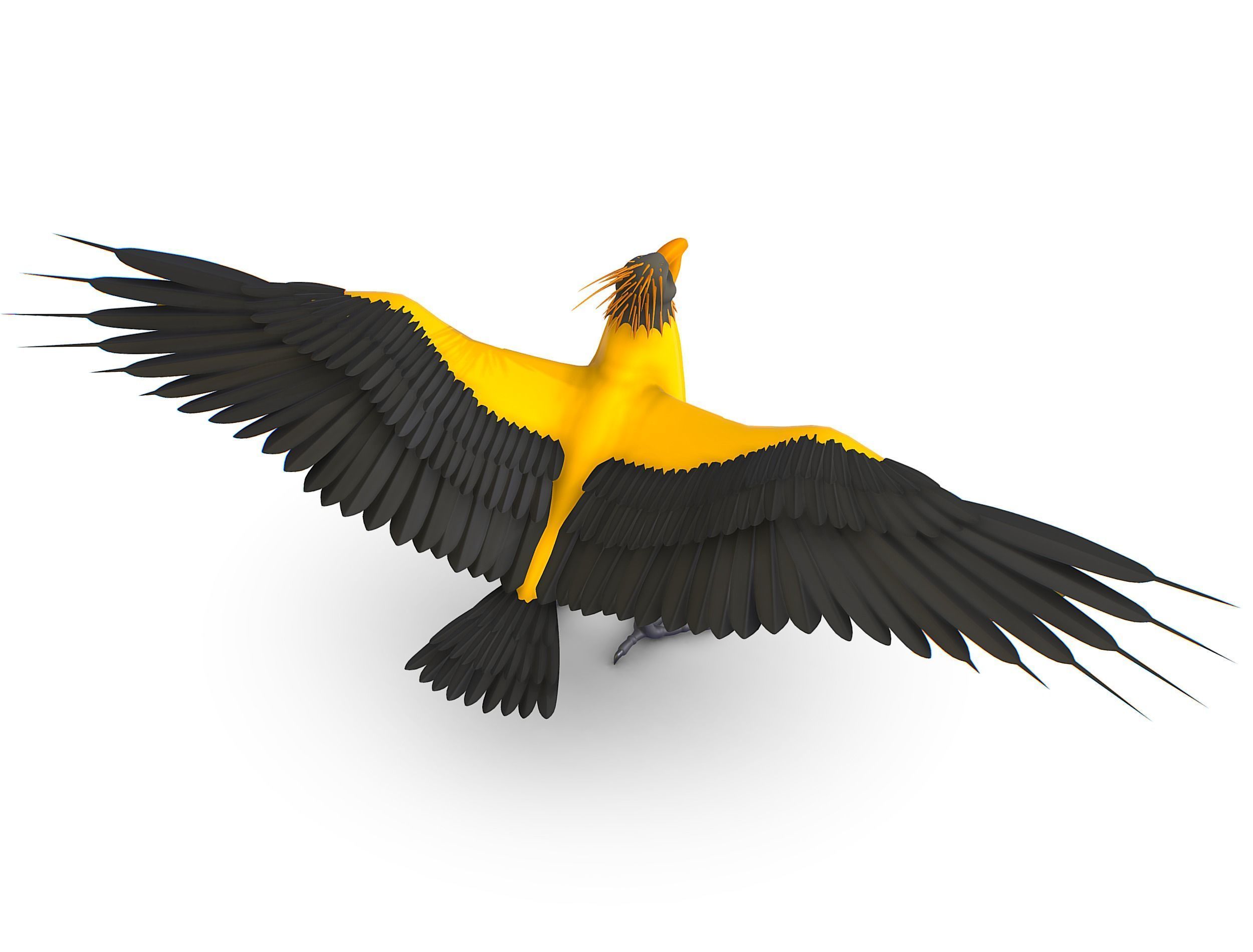 High Poly the Mythical Bird Predator Roc Low-poly 3D model_11