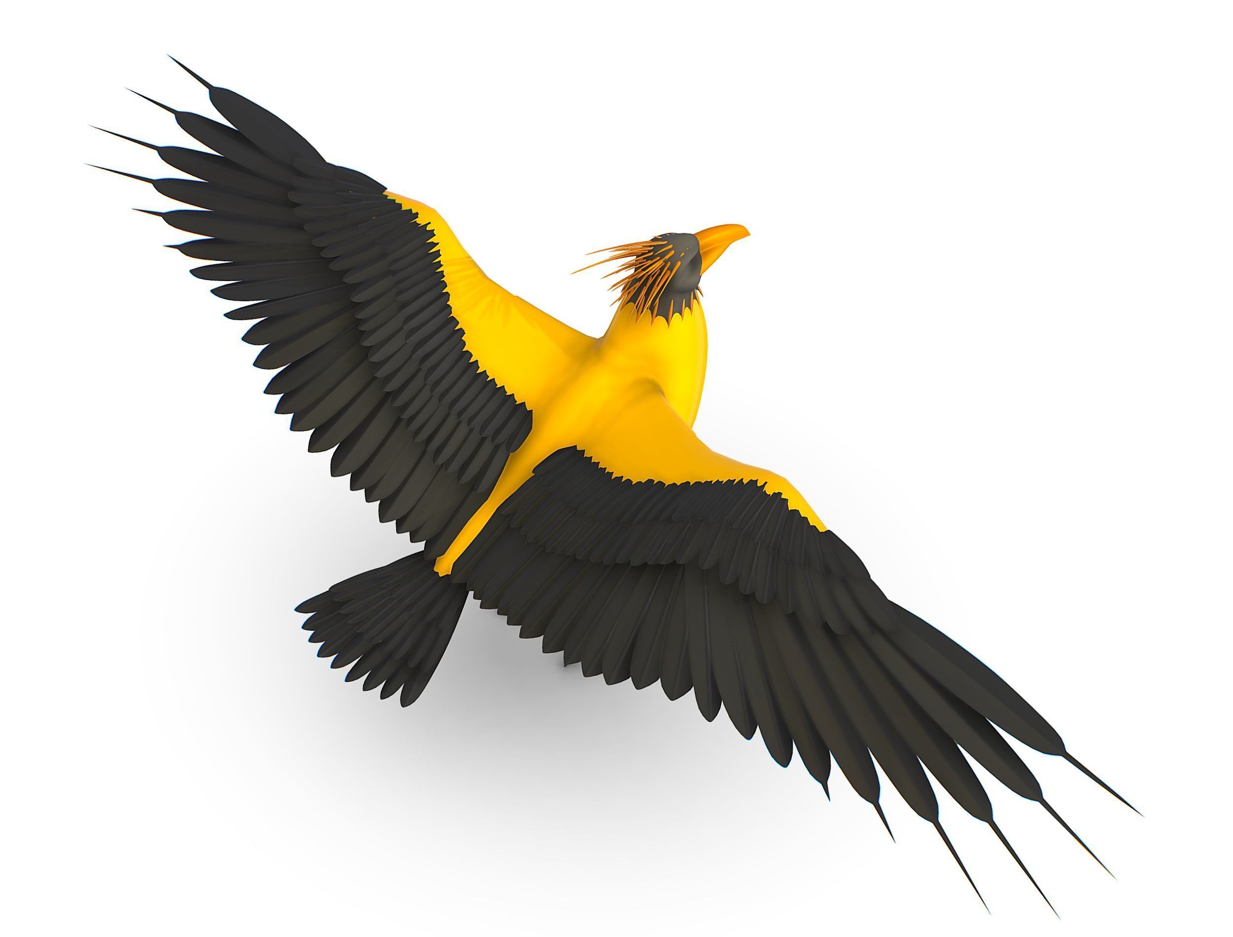 High Poly the Mythical Bird Predator Roc Low-poly 3D model_12