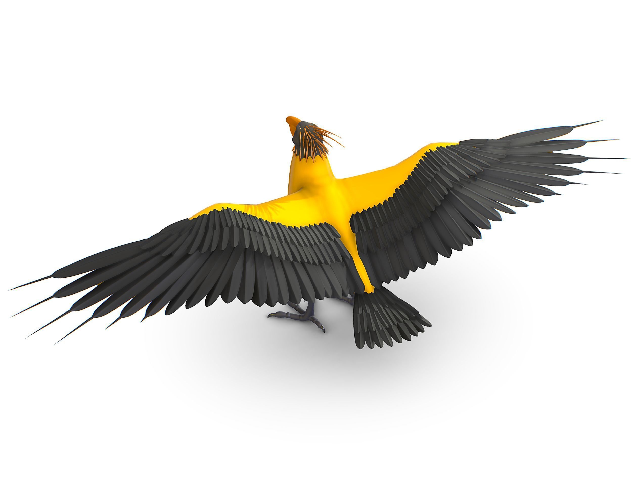 High Poly the Mythical Bird Predator Roc Low-poly 3D model_9