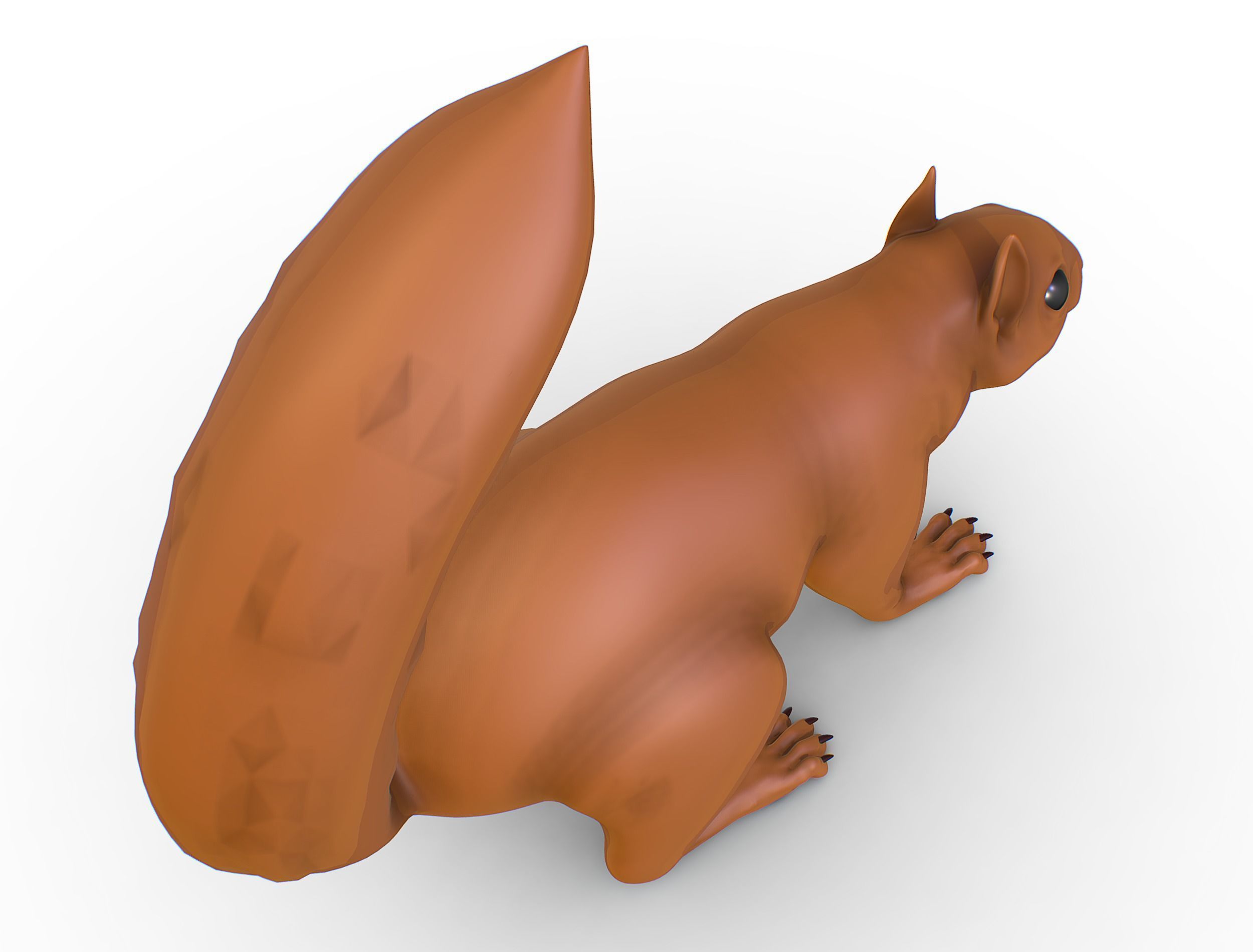 High Poly Forest Wild Red Squirrel Low-poly 3D model_17