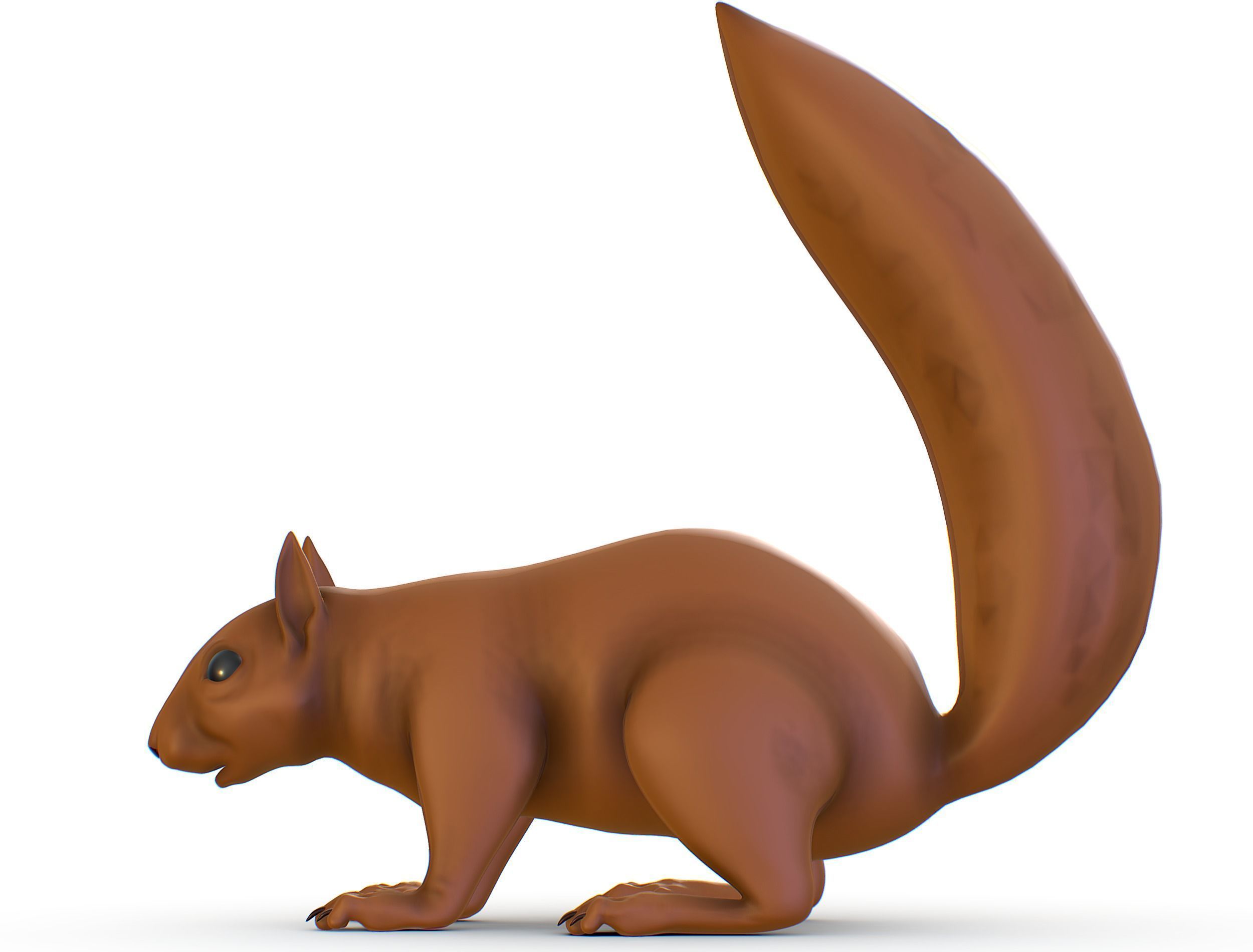 High Poly Forest Wild Red Squirrel Low-poly 3D model_6