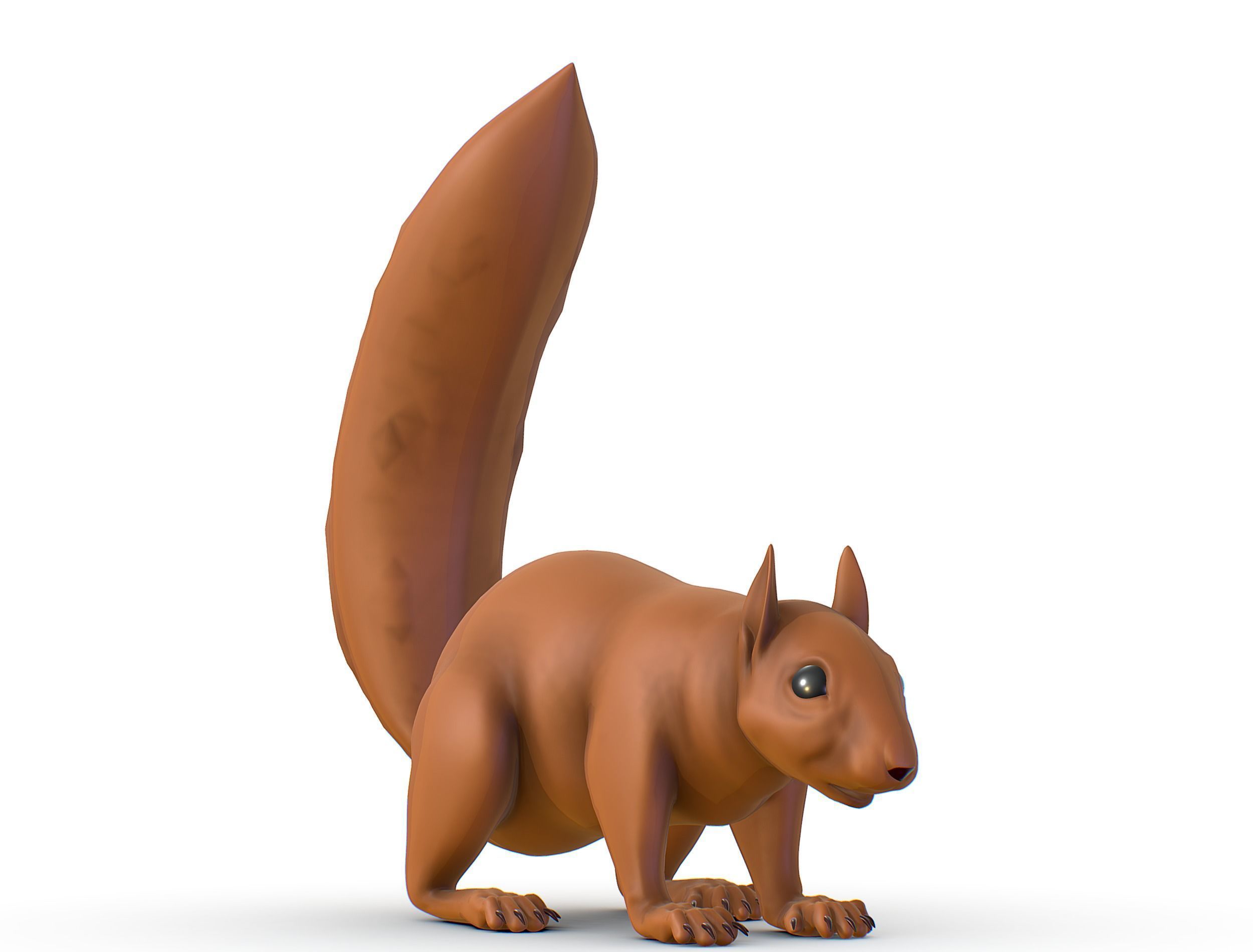 High Poly Forest Wild Red Squirrel Low-poly 3D model_13