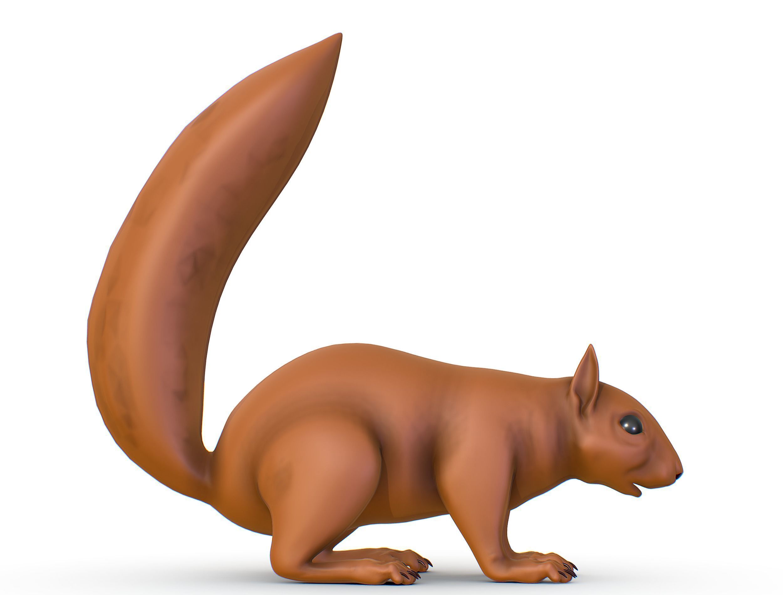High Poly Forest Wild Red Squirrel Low-poly 3D model_12