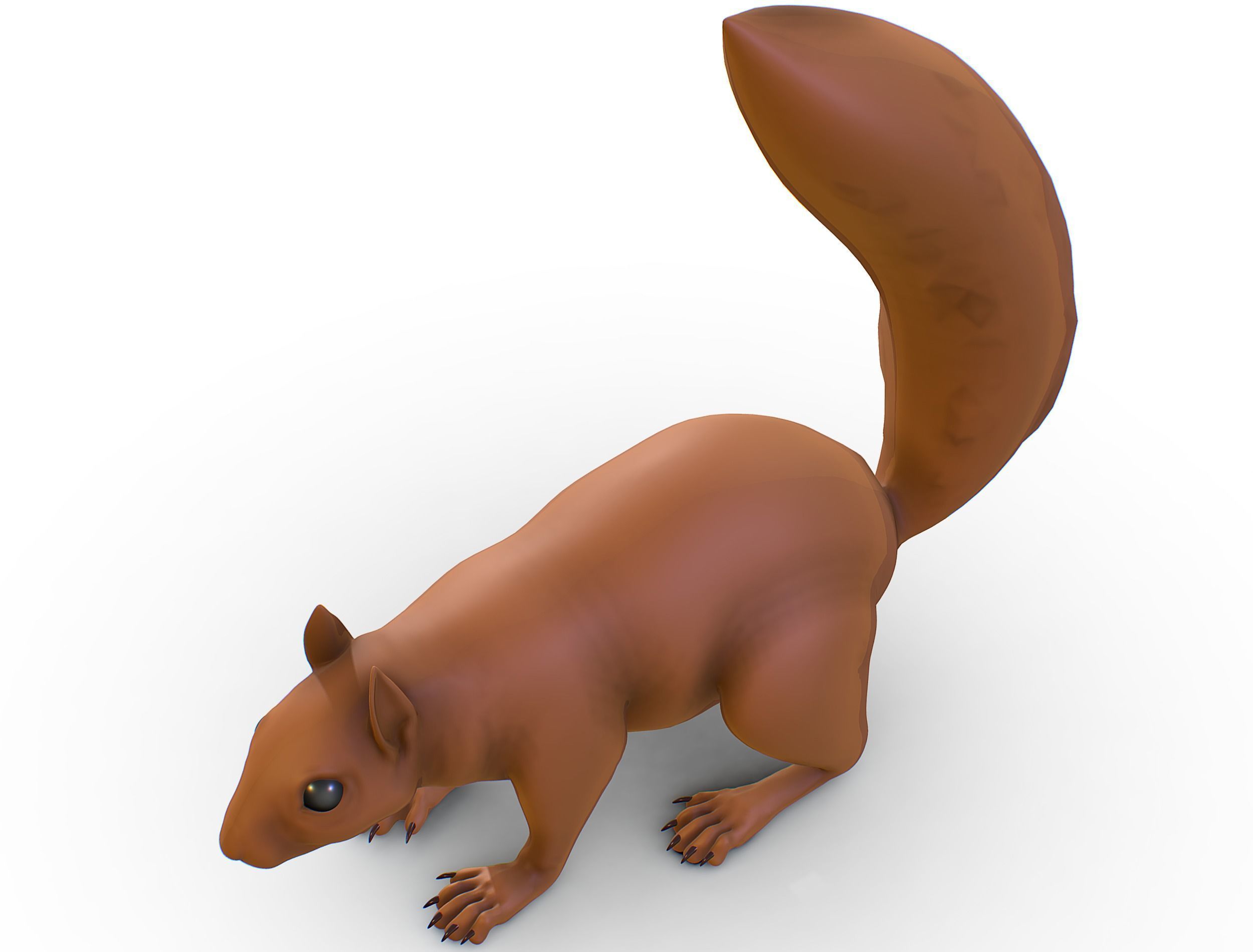 High Poly Forest Wild Red Squirrel Low-poly 3D model_15