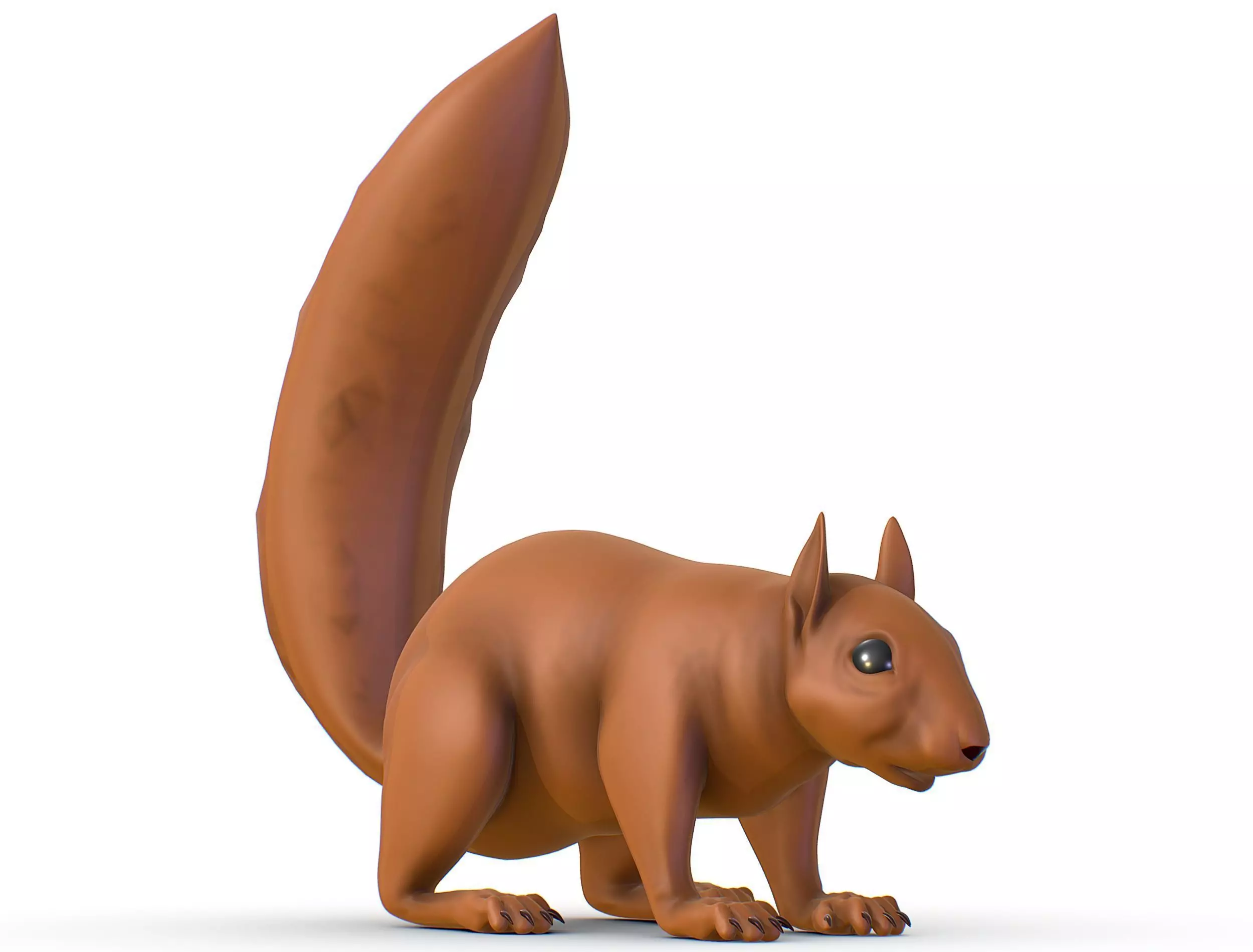High Poly Forest Wild Red Squirrel Low-poly 3D model_0