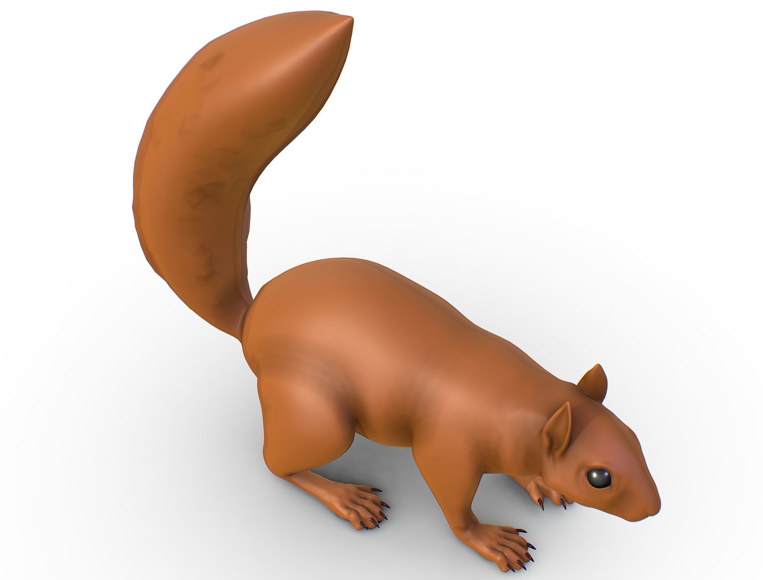 High Poly Forest Wild Red Squirrel Low-poly 3D model_14