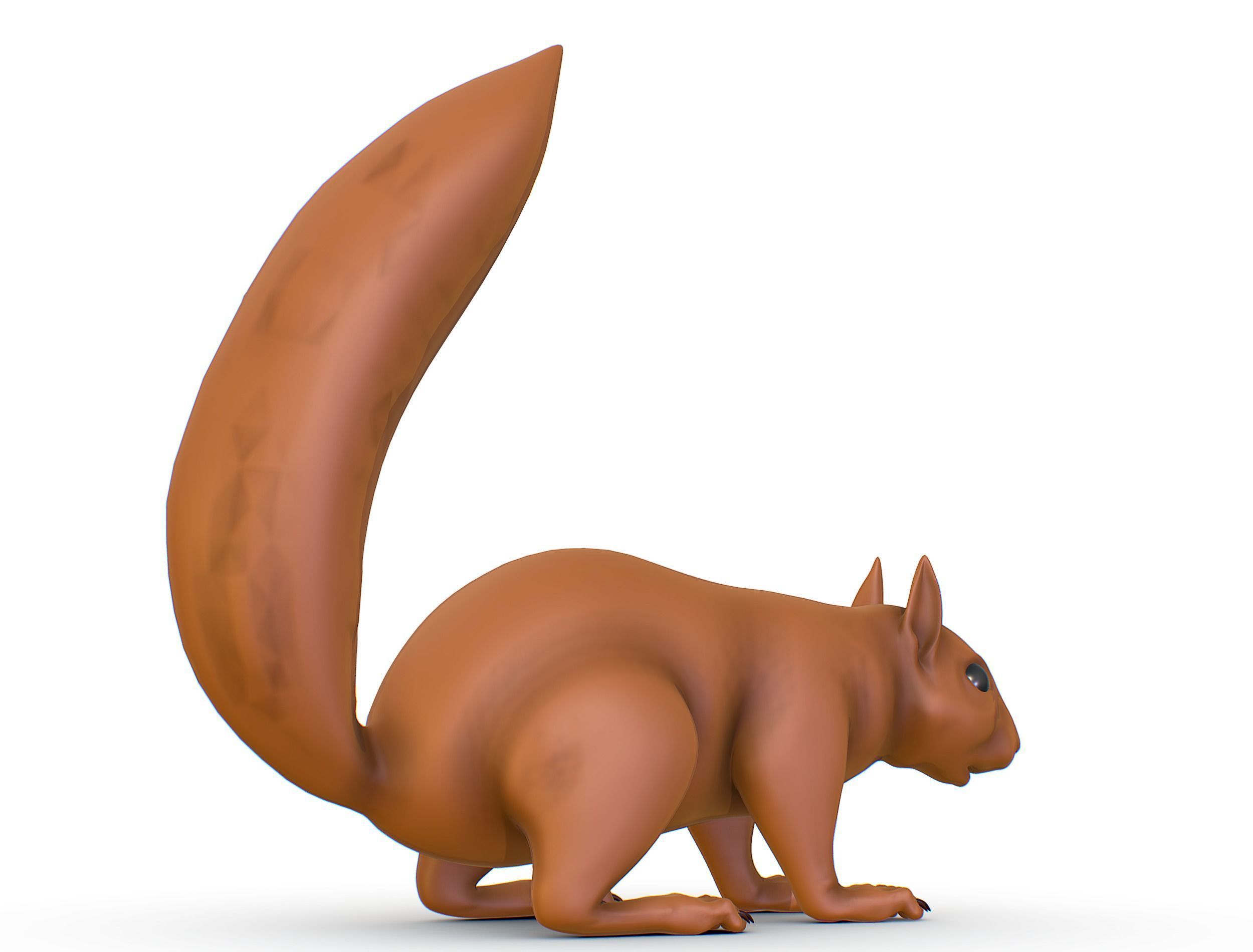 High Poly Forest Wild Red Squirrel Low-poly 3D model_11