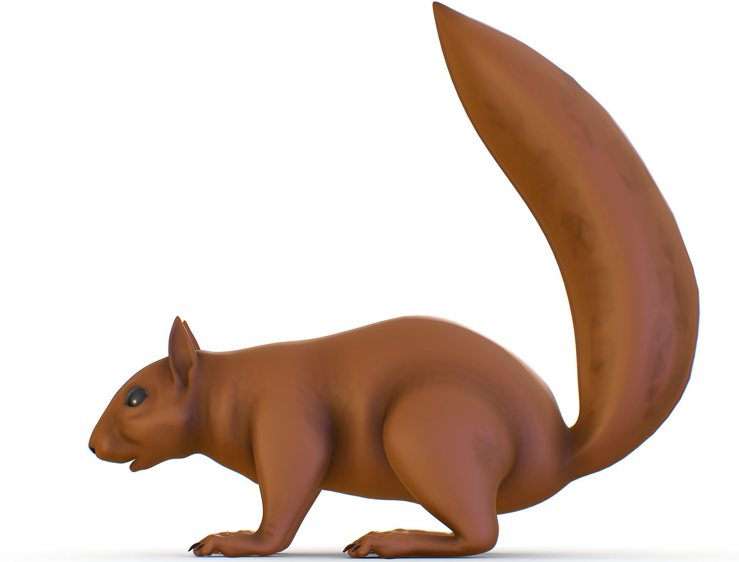 High Poly Forest Wild Red Squirrel Low-poly 3D model_19