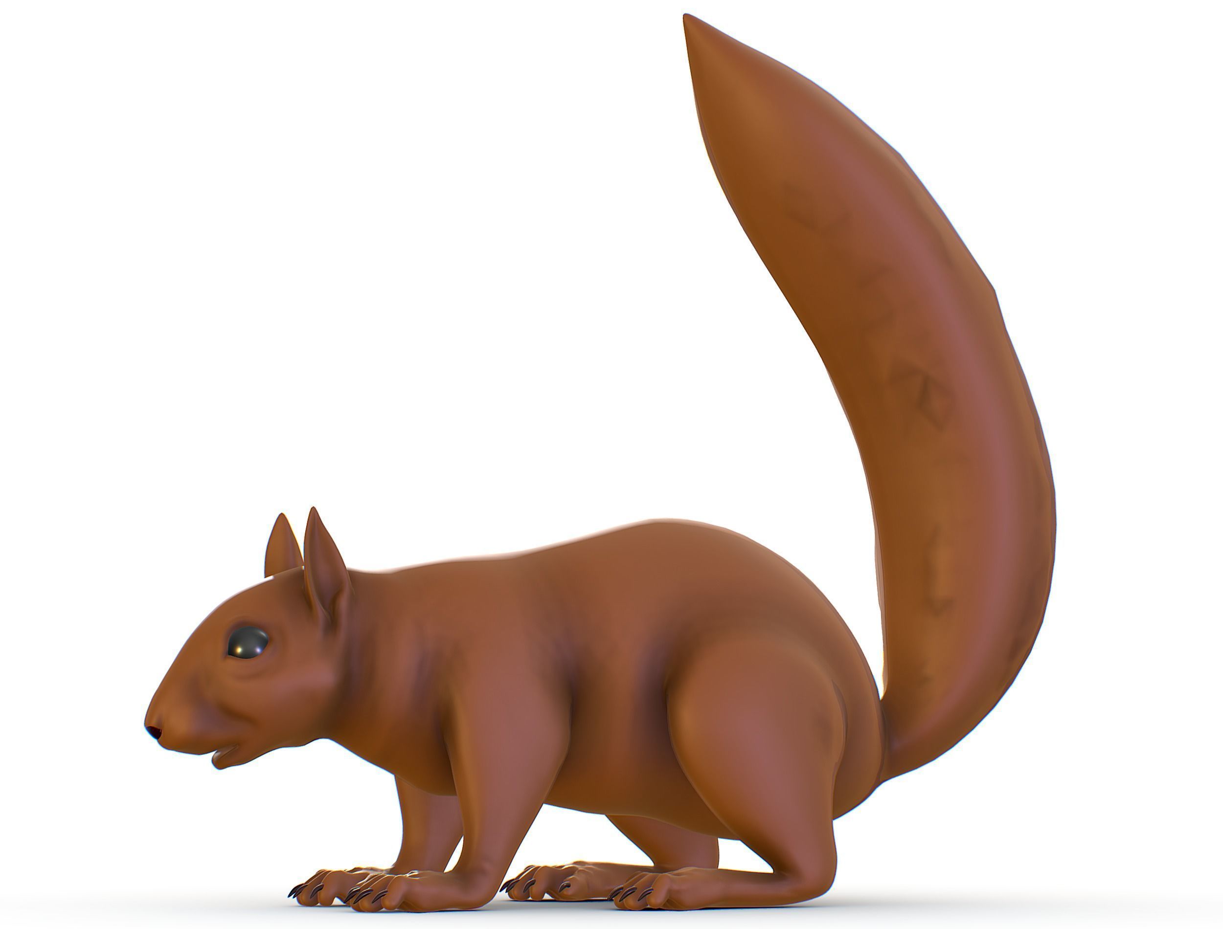 High Poly Forest Wild Red Squirrel Low-poly 3D model_5