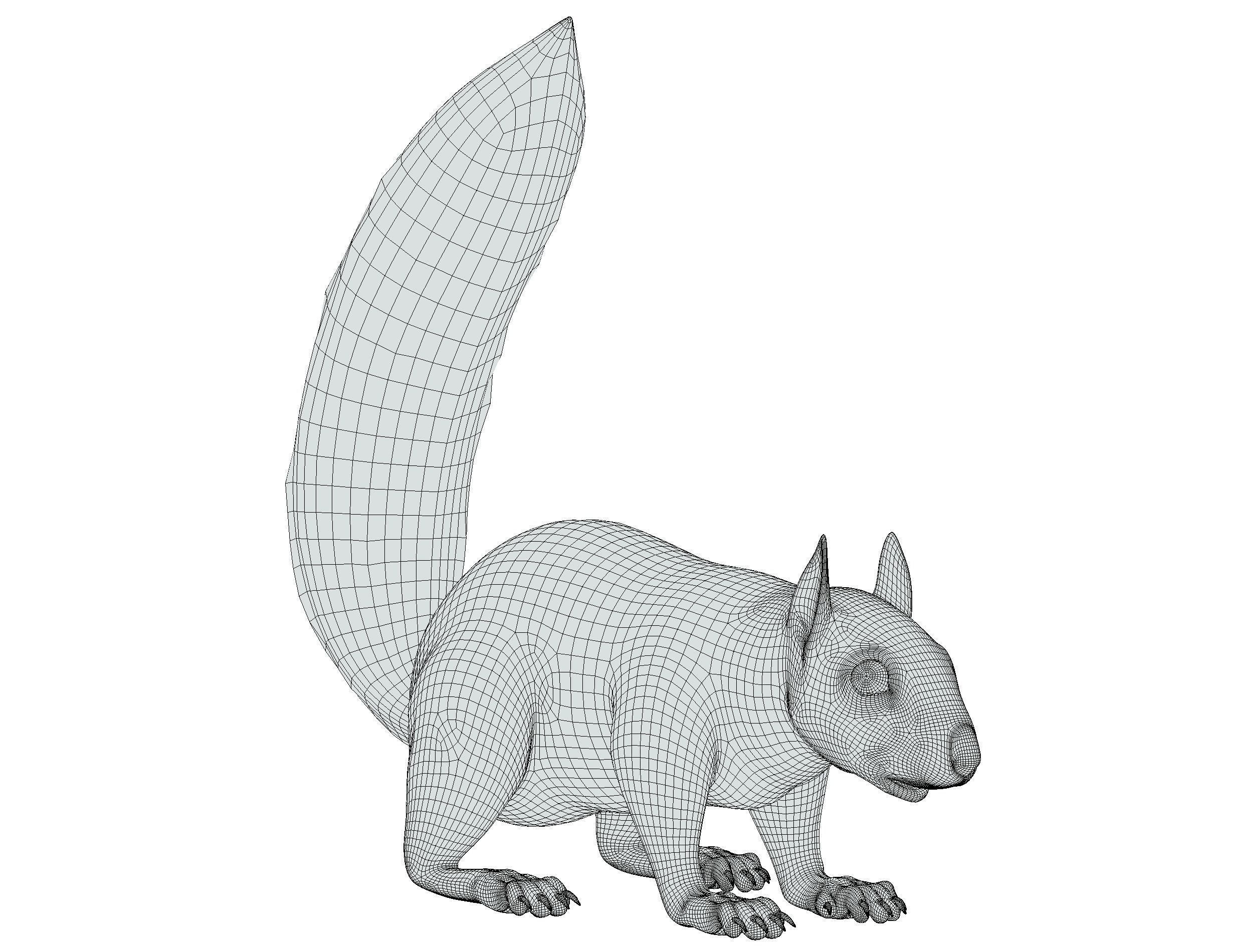 High Poly Forest Wild Red Squirrel Low-poly 3D model_25