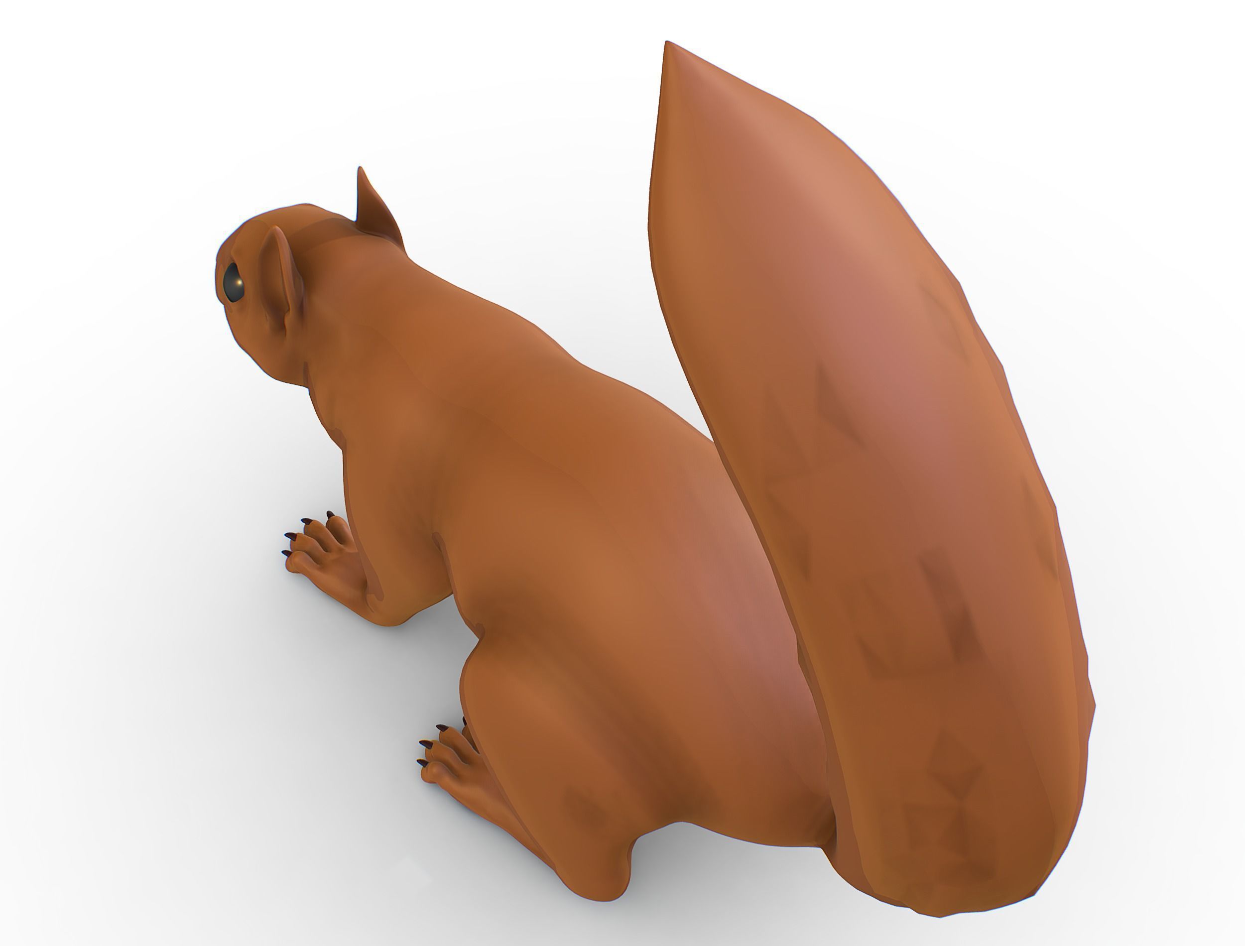 High Poly Forest Wild Red Squirrel Low-poly 3D model_16