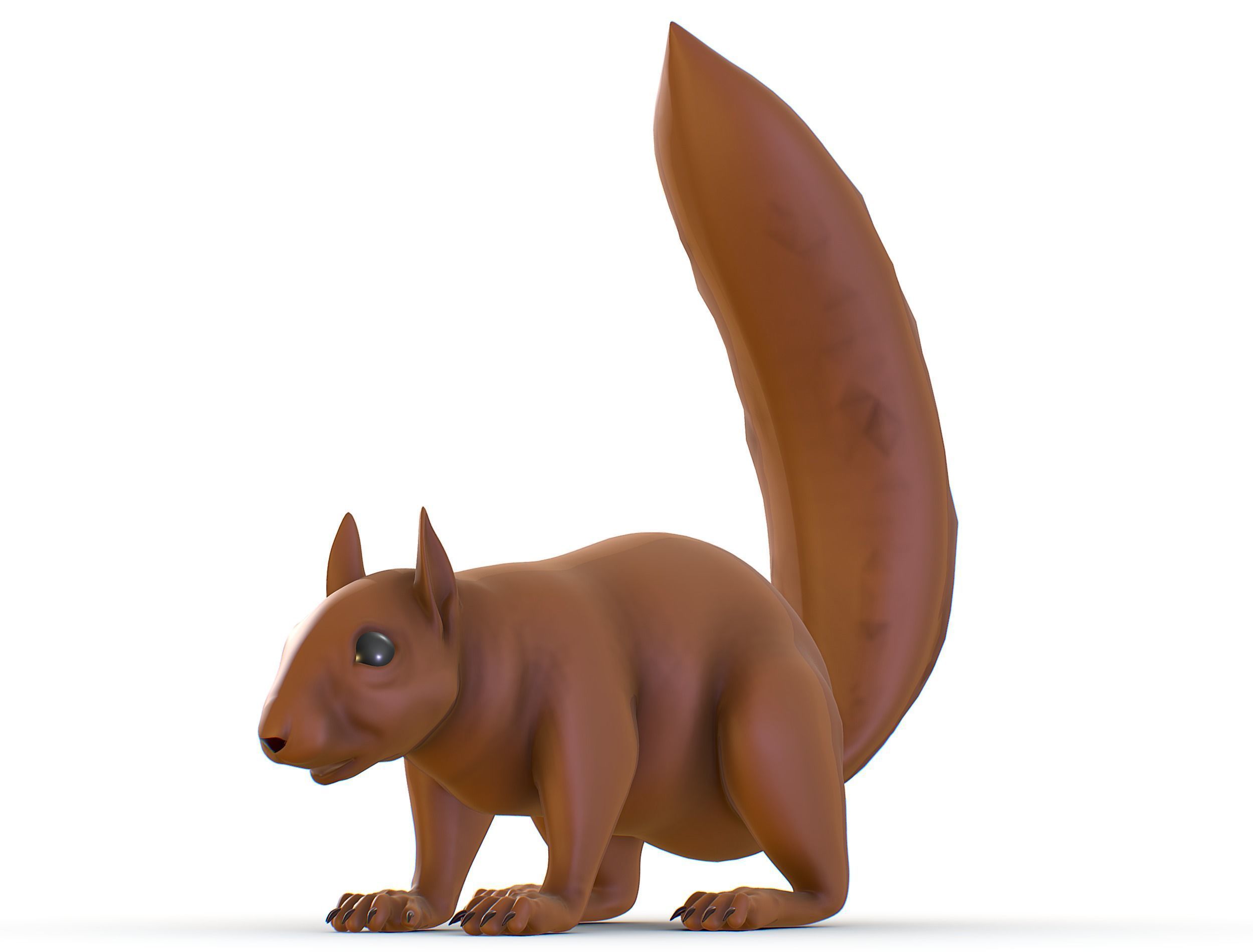 High Poly Forest Wild Red Squirrel Low-poly 3D model_4