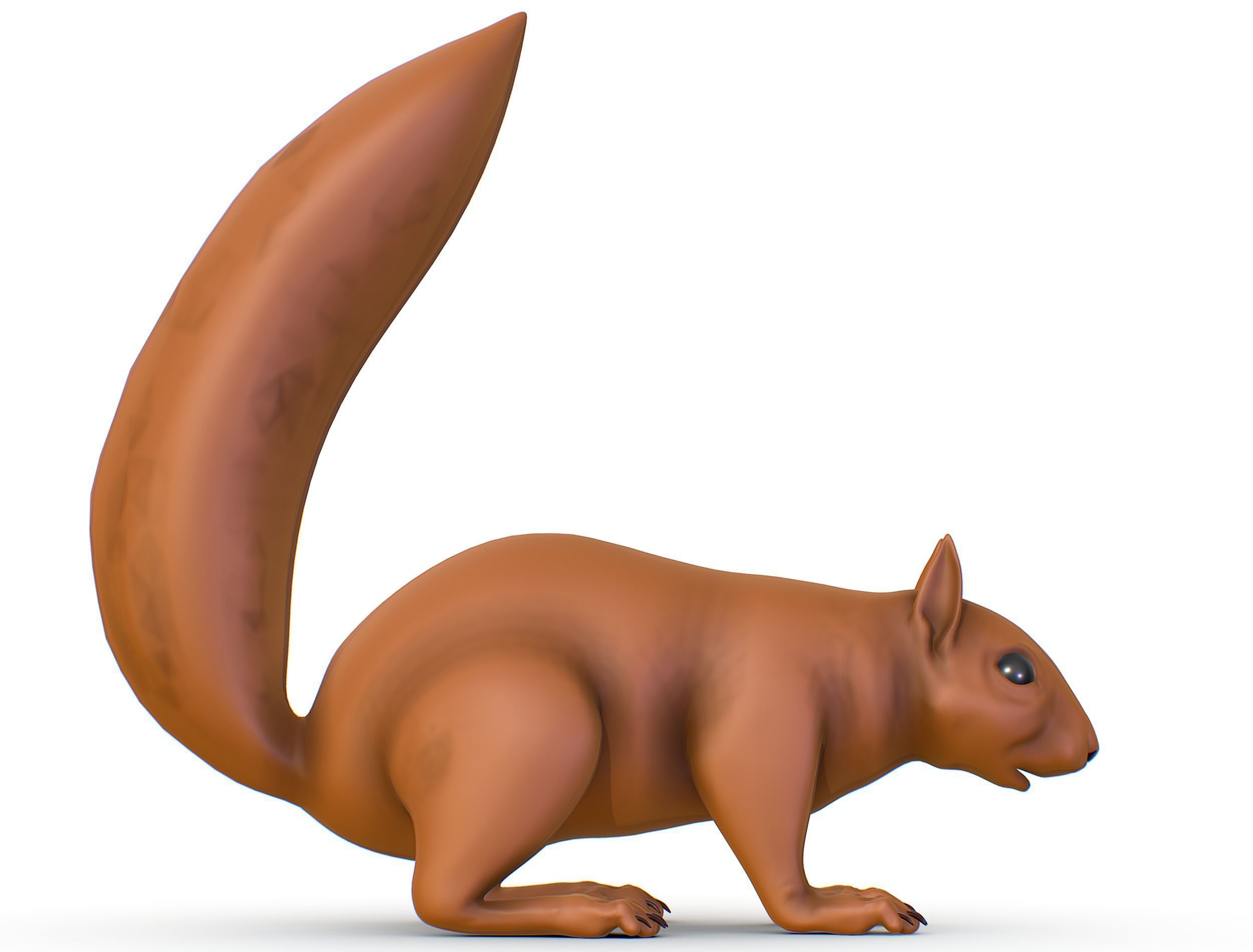 High Poly Forest Wild Red Squirrel Low-poly 3D model_21