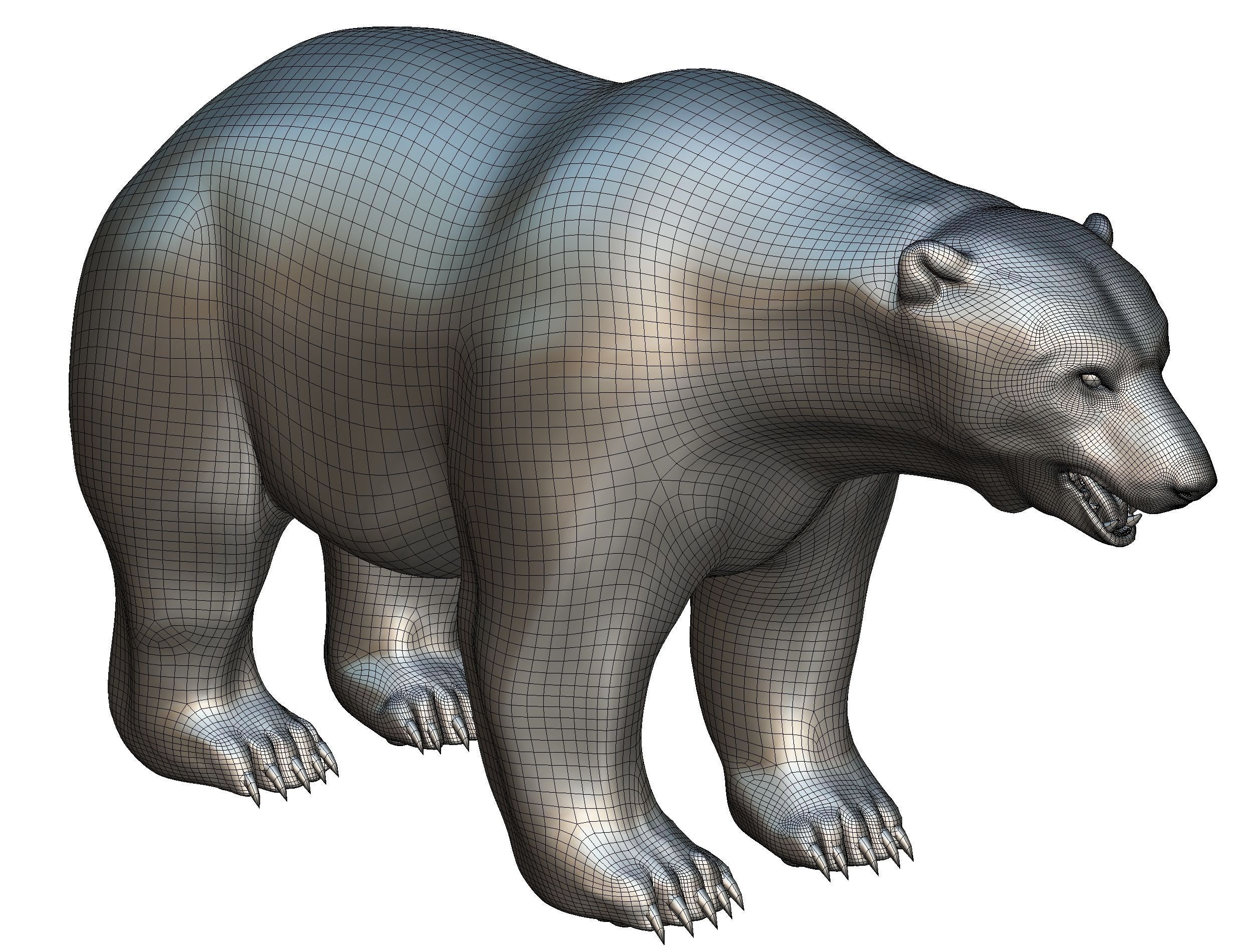 High Poly Model White Polar Bear Low-poly 3D model_30