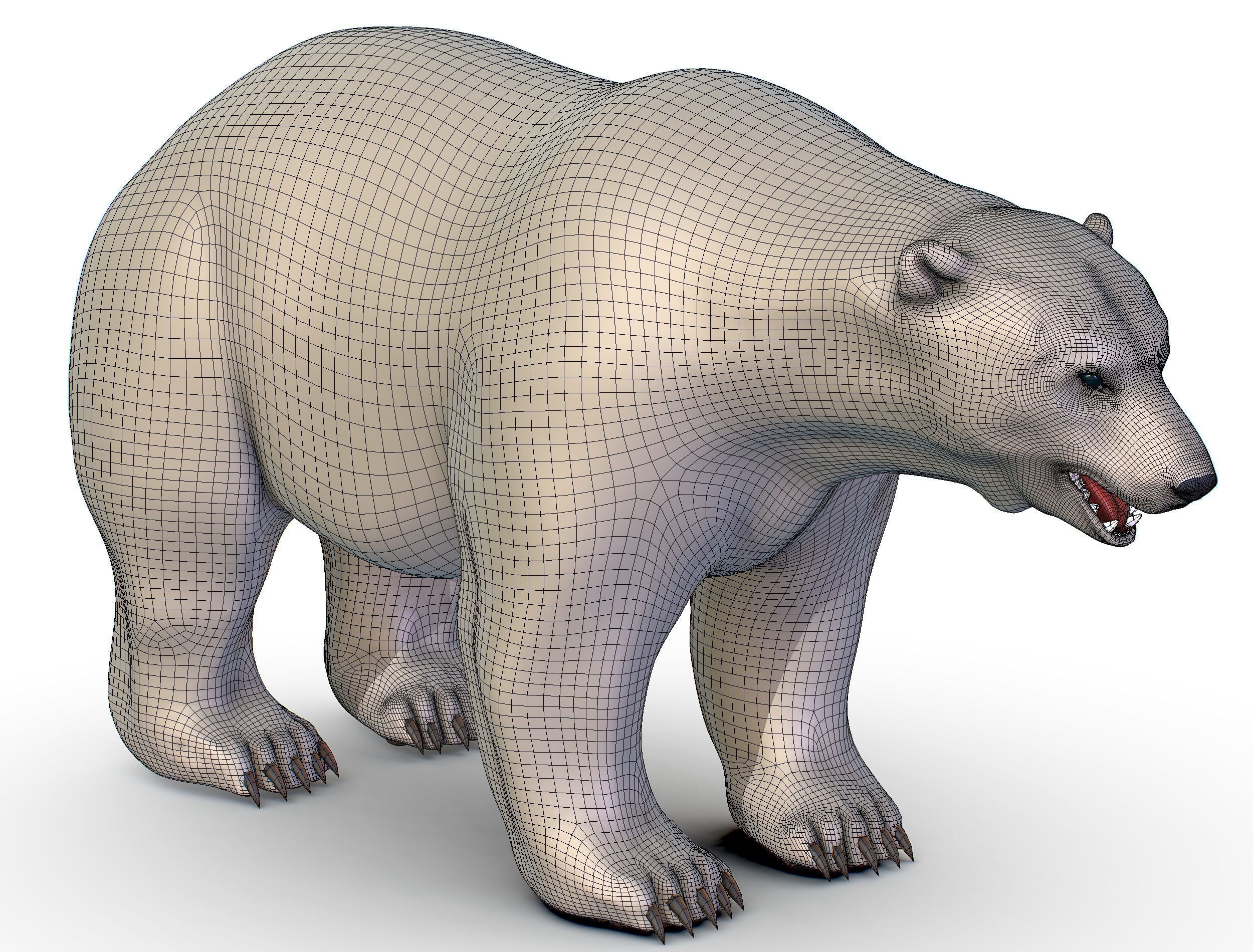 High Poly Model White Polar Bear Low-poly 3D model_29