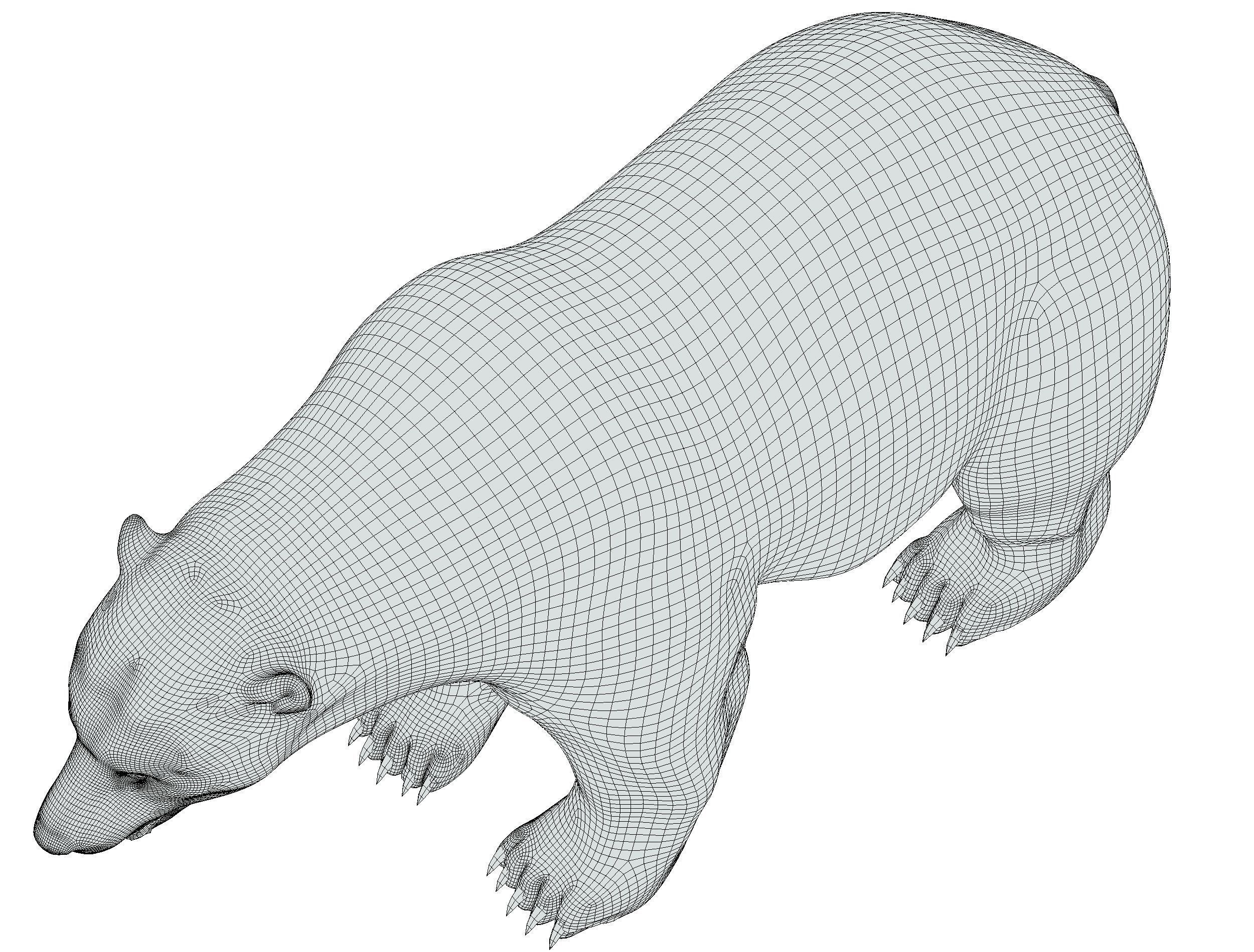 High Poly Model White Polar Bear Low-poly 3D model_40