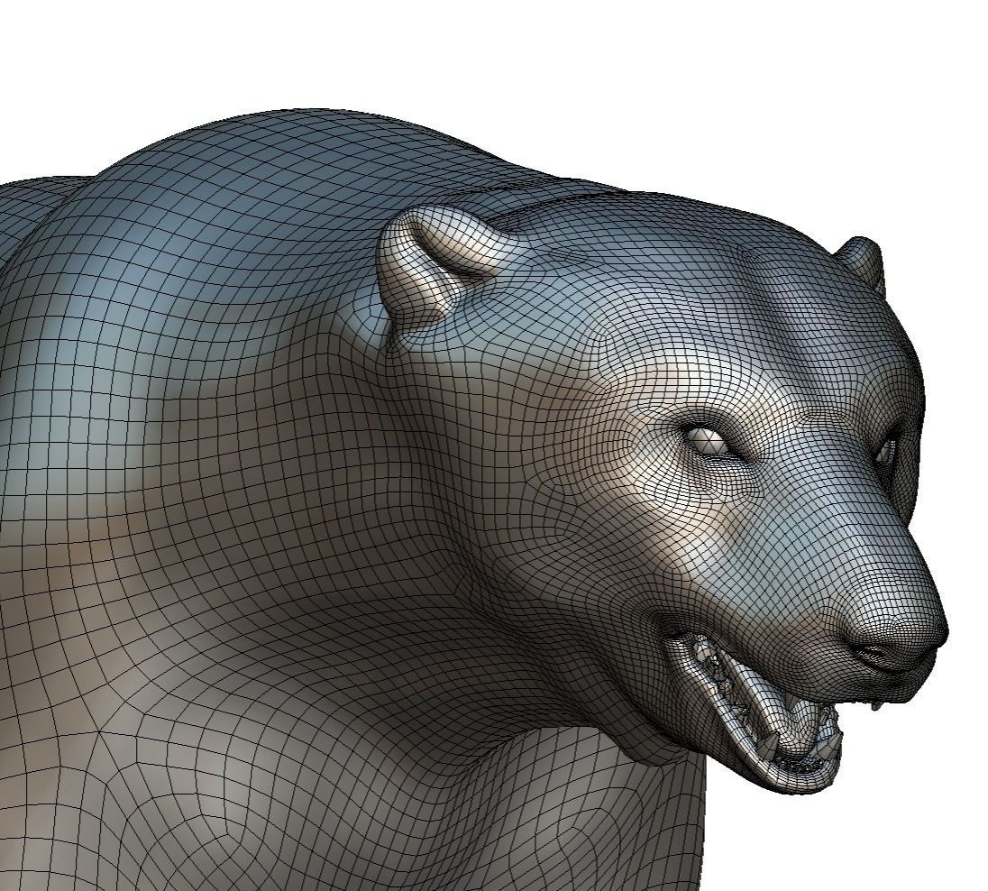 High Poly Model White Polar Bear Low-poly 3D model_41