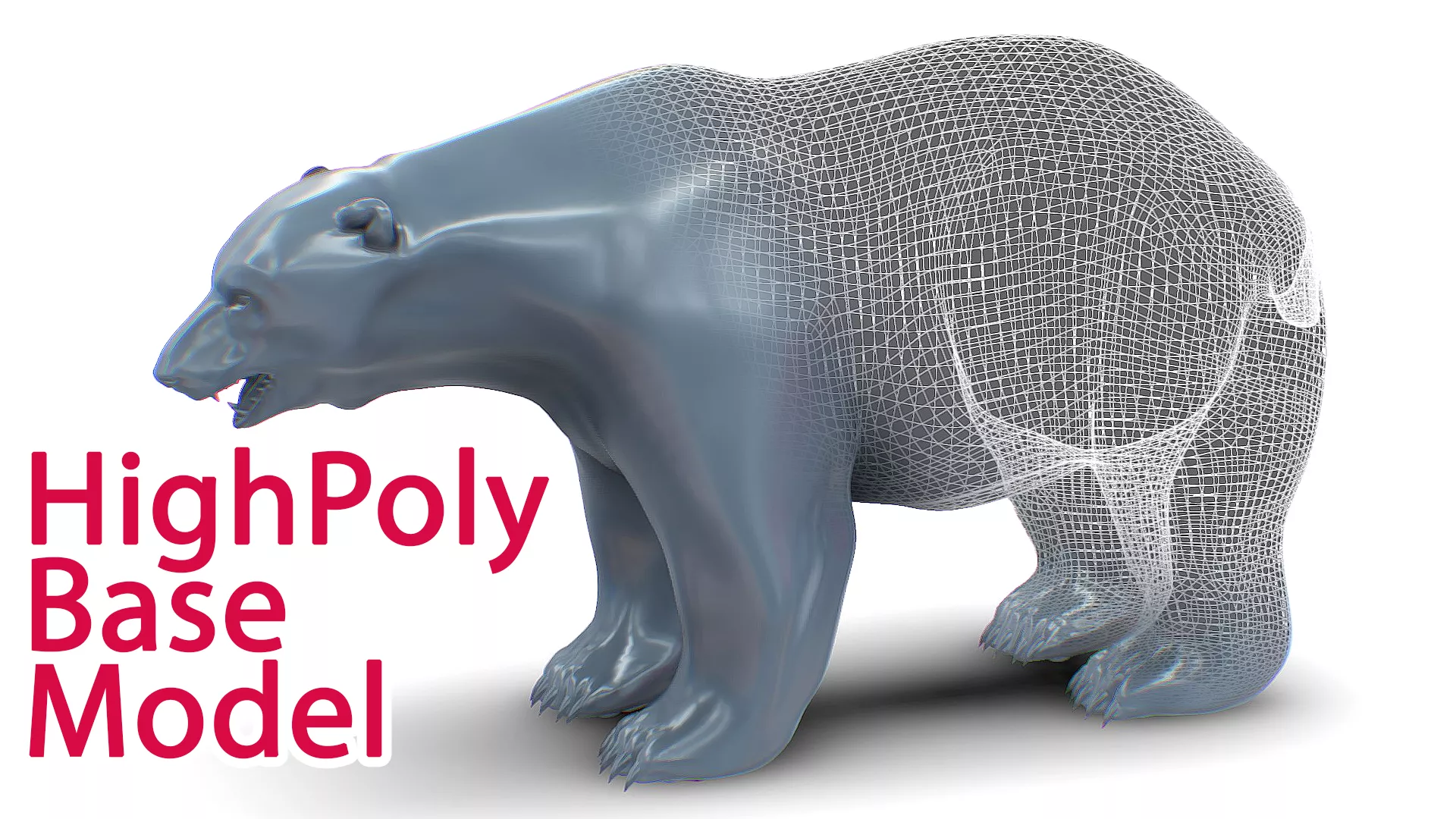 Polarbear - White Bear - Wild Polar Bear - Nordic Animal 3D model