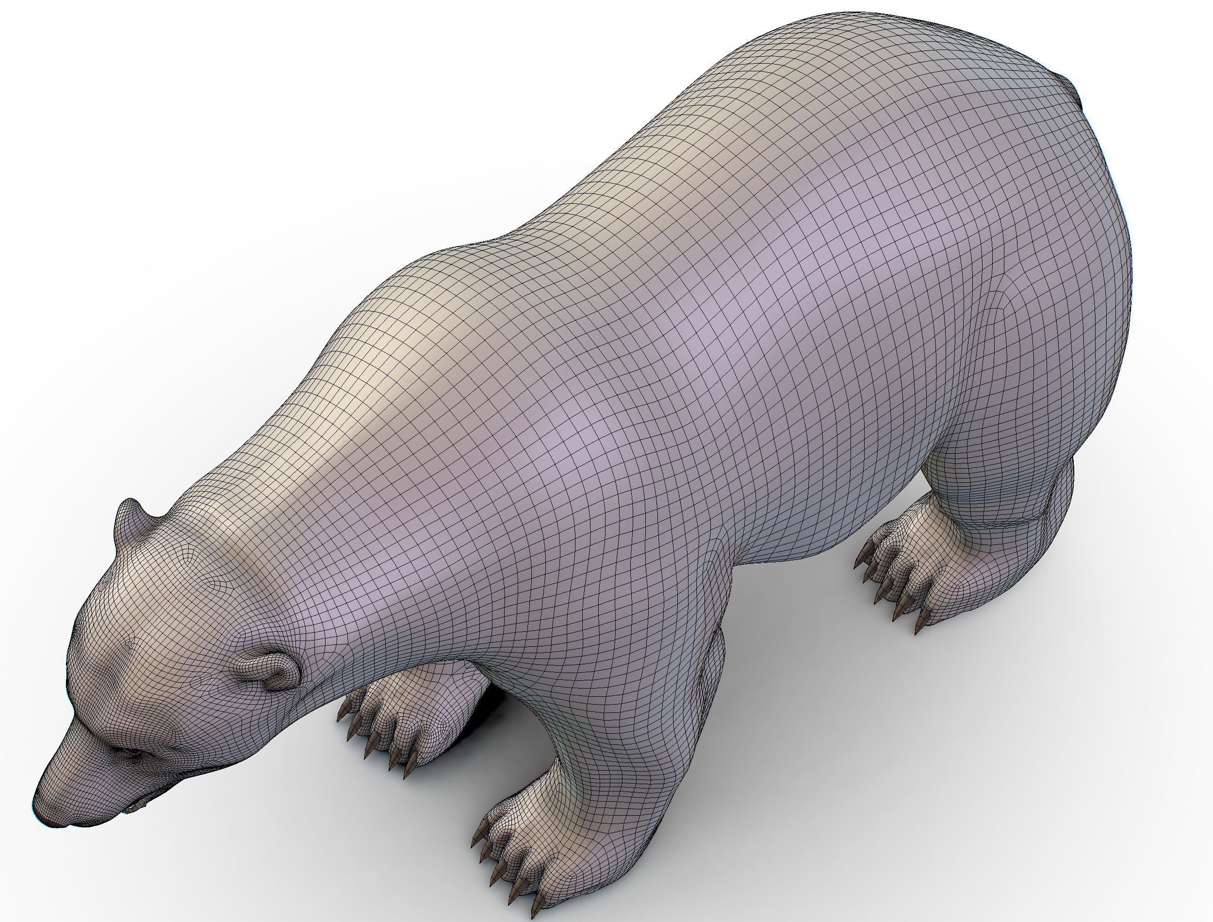 High Poly Model White Polar Bear Low-poly 3D model_37