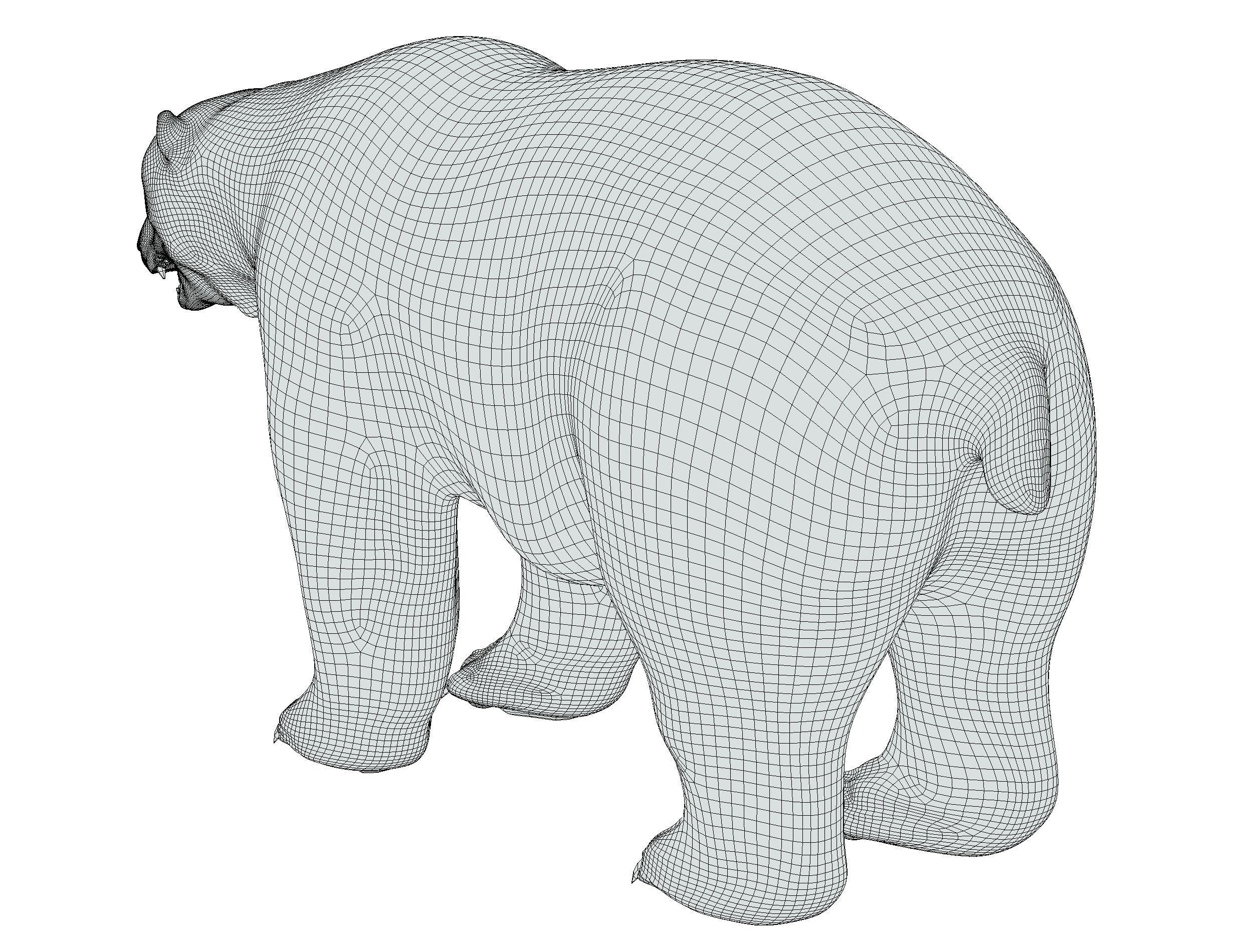 High Poly Model White Polar Bear Low-poly 3D model_36