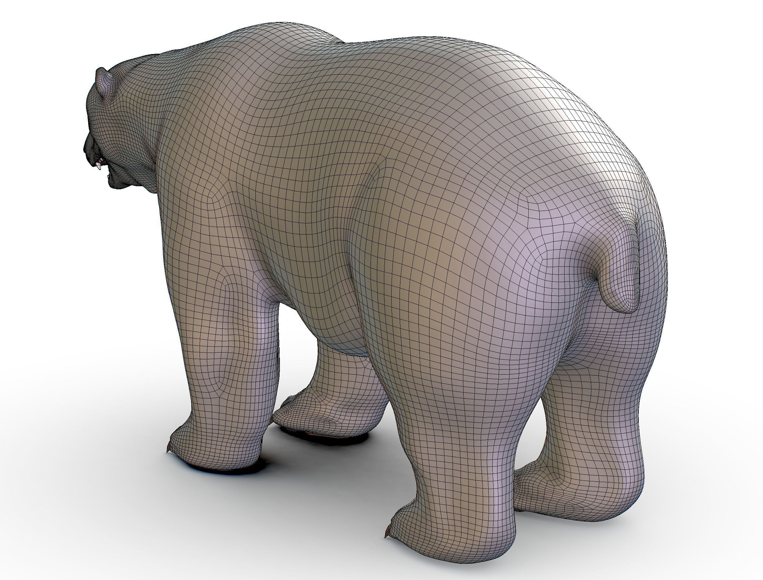 High Poly Model White Polar Bear Low-poly 3D model_33