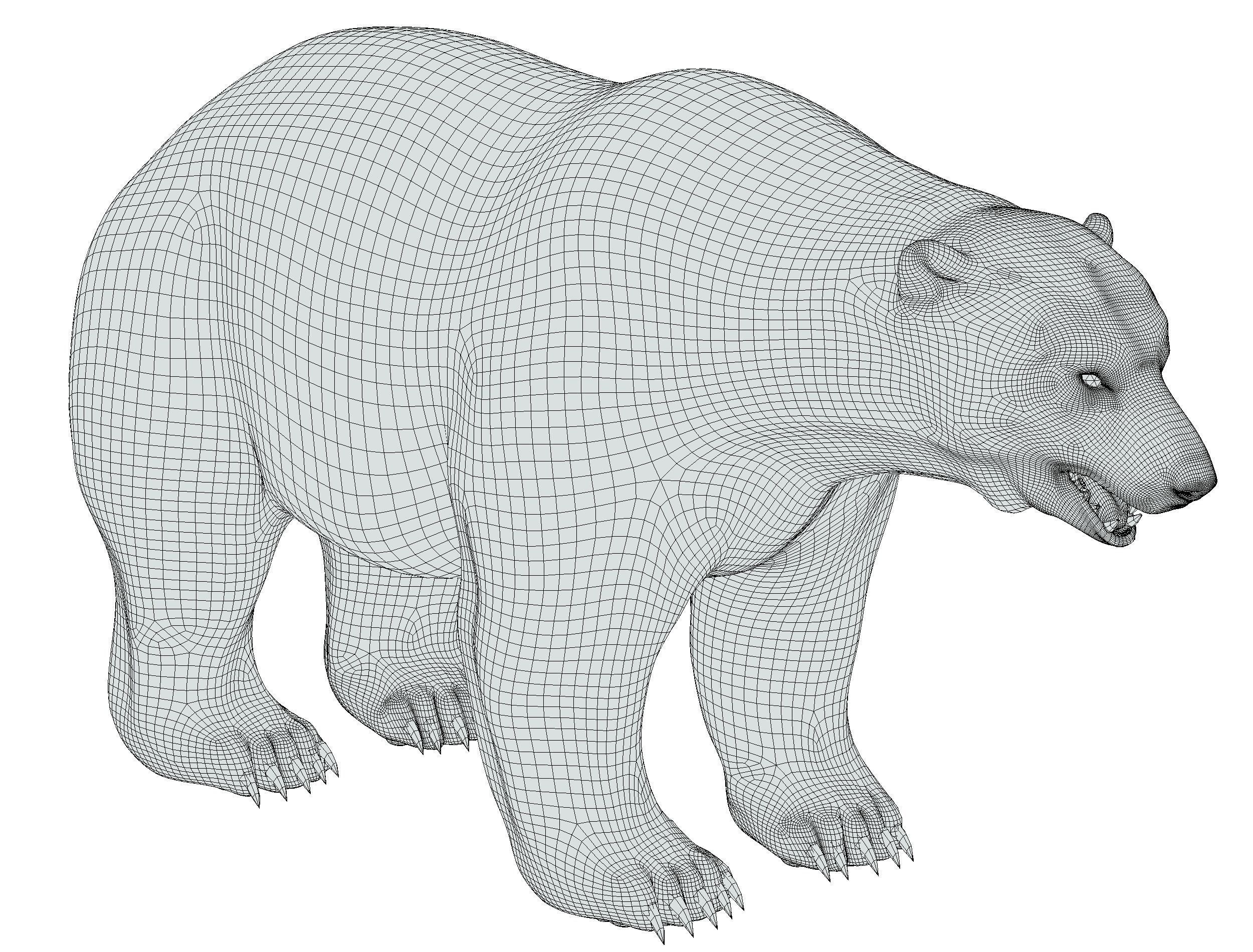 High Poly Model White Polar Bear Low-poly 3D model_32