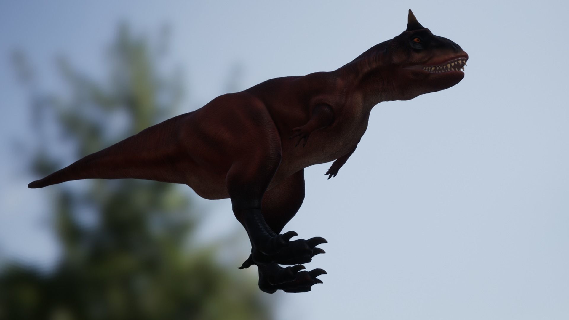 Carnotaurus  Low-poly 3D model_11