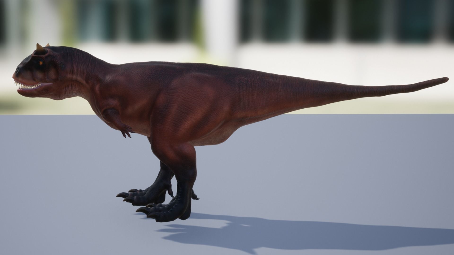Carnotaurus  Low-poly 3D model_8