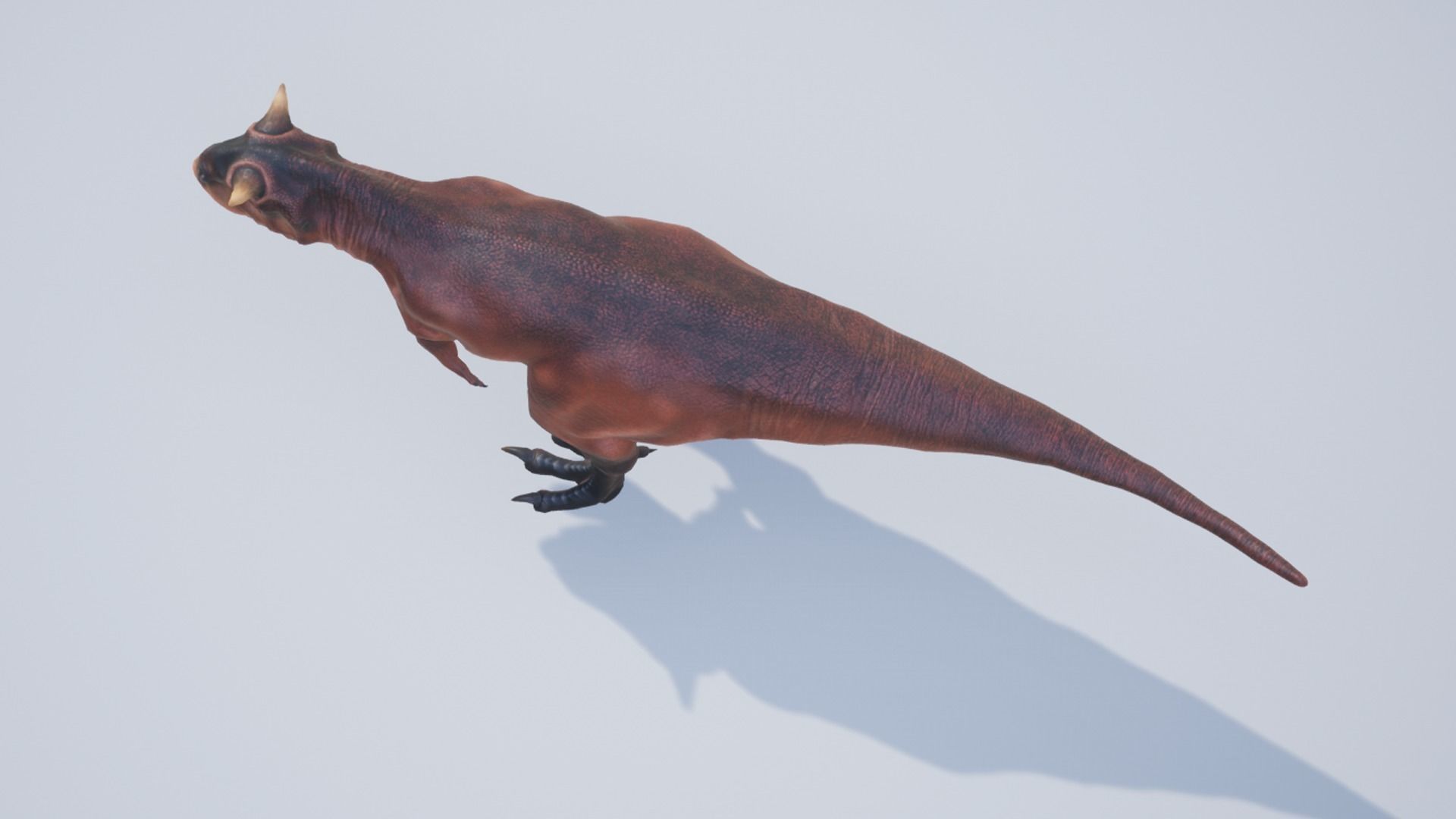Carnotaurus  Low-poly 3D model_10