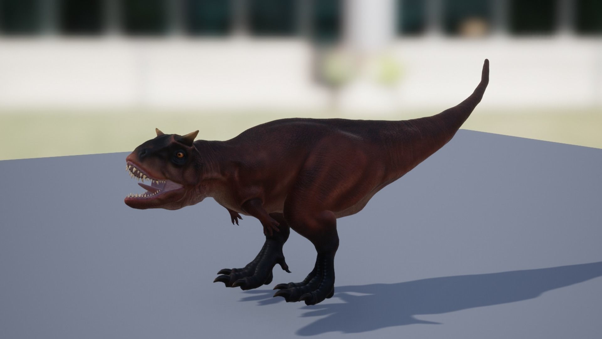 Carnotaurus  Low-poly 3D model_12