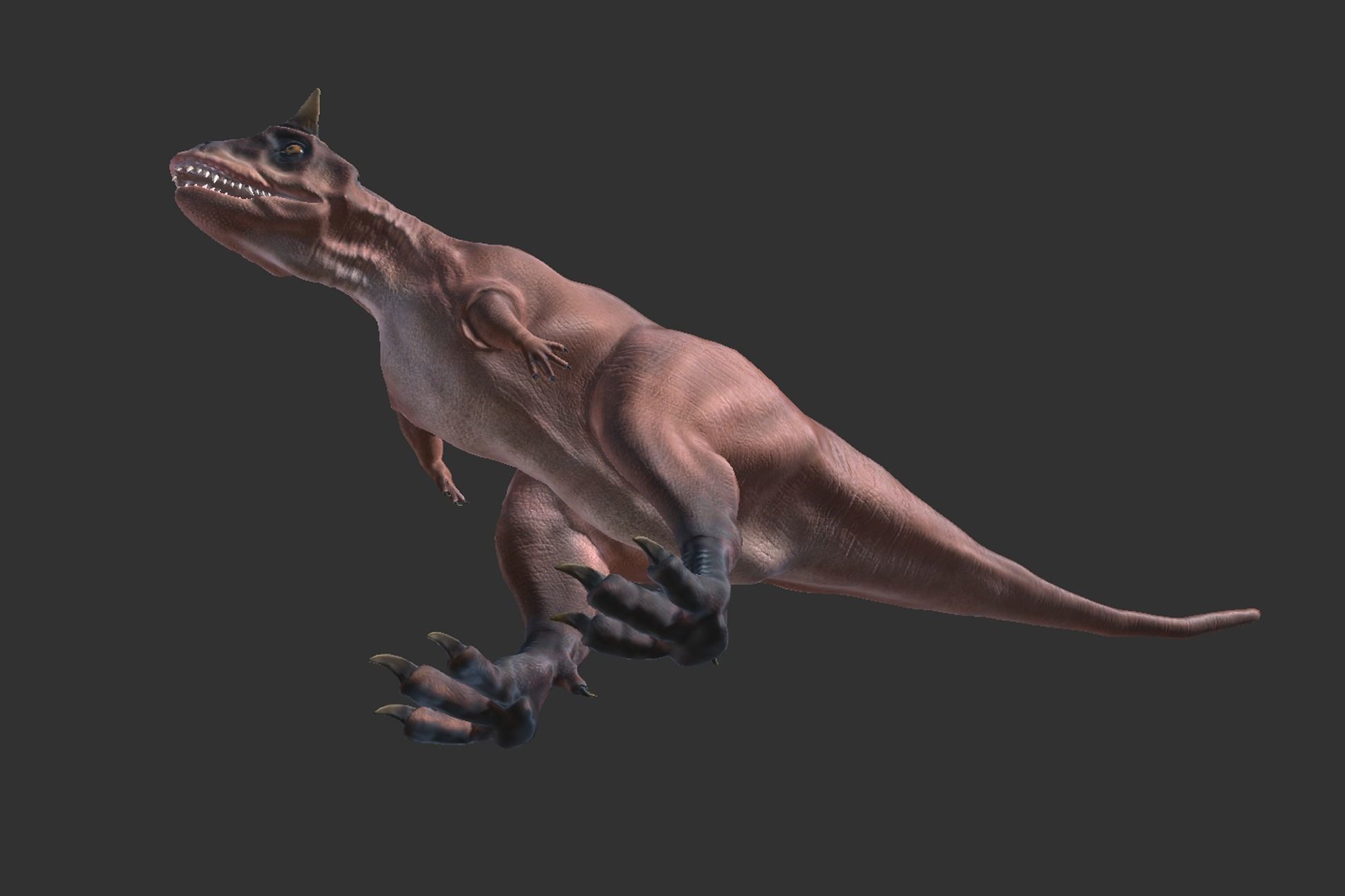 Carnotaurus  Low-poly 3D model_5