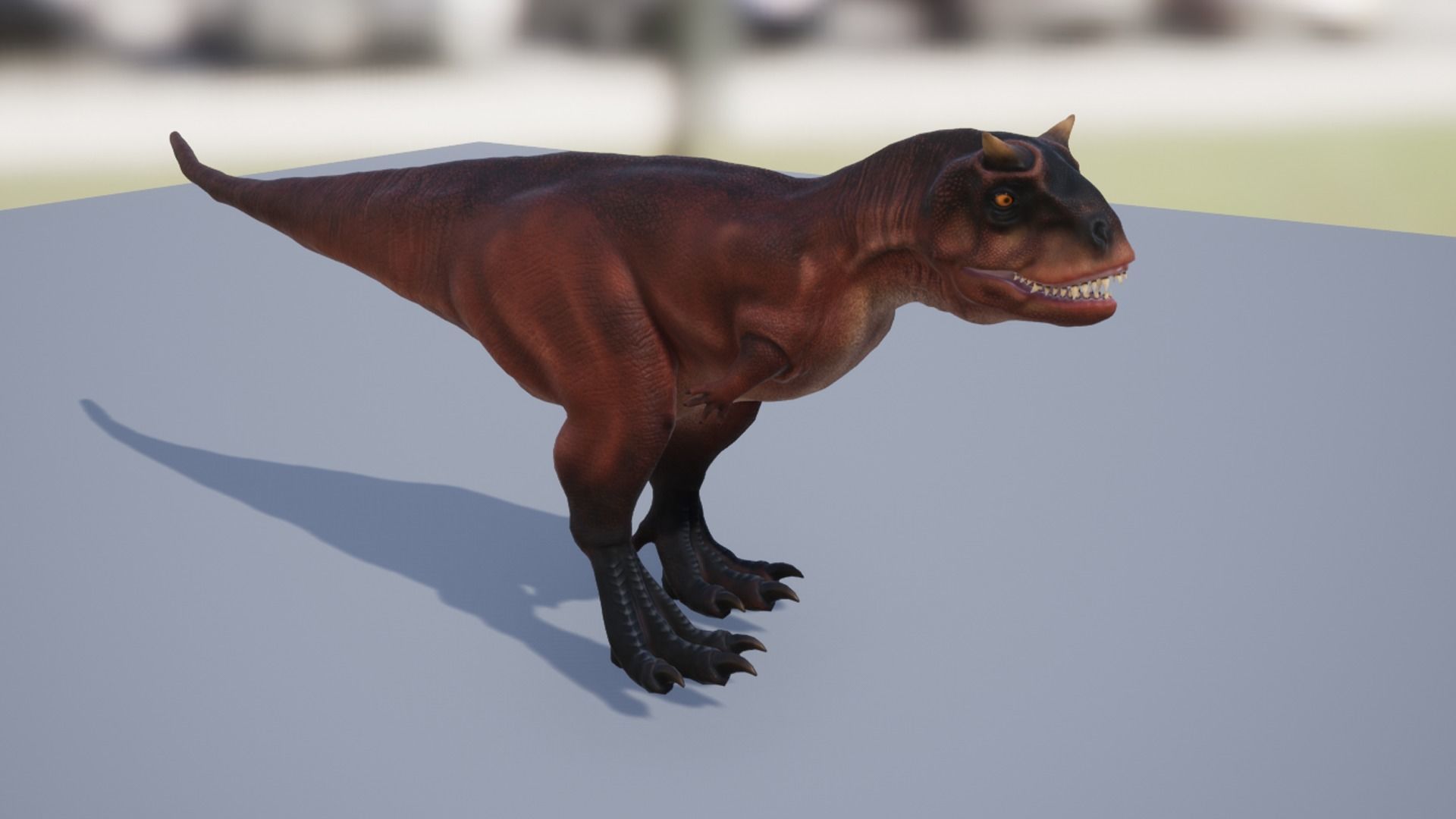 Carnotaurus  Low-poly 3D model_9